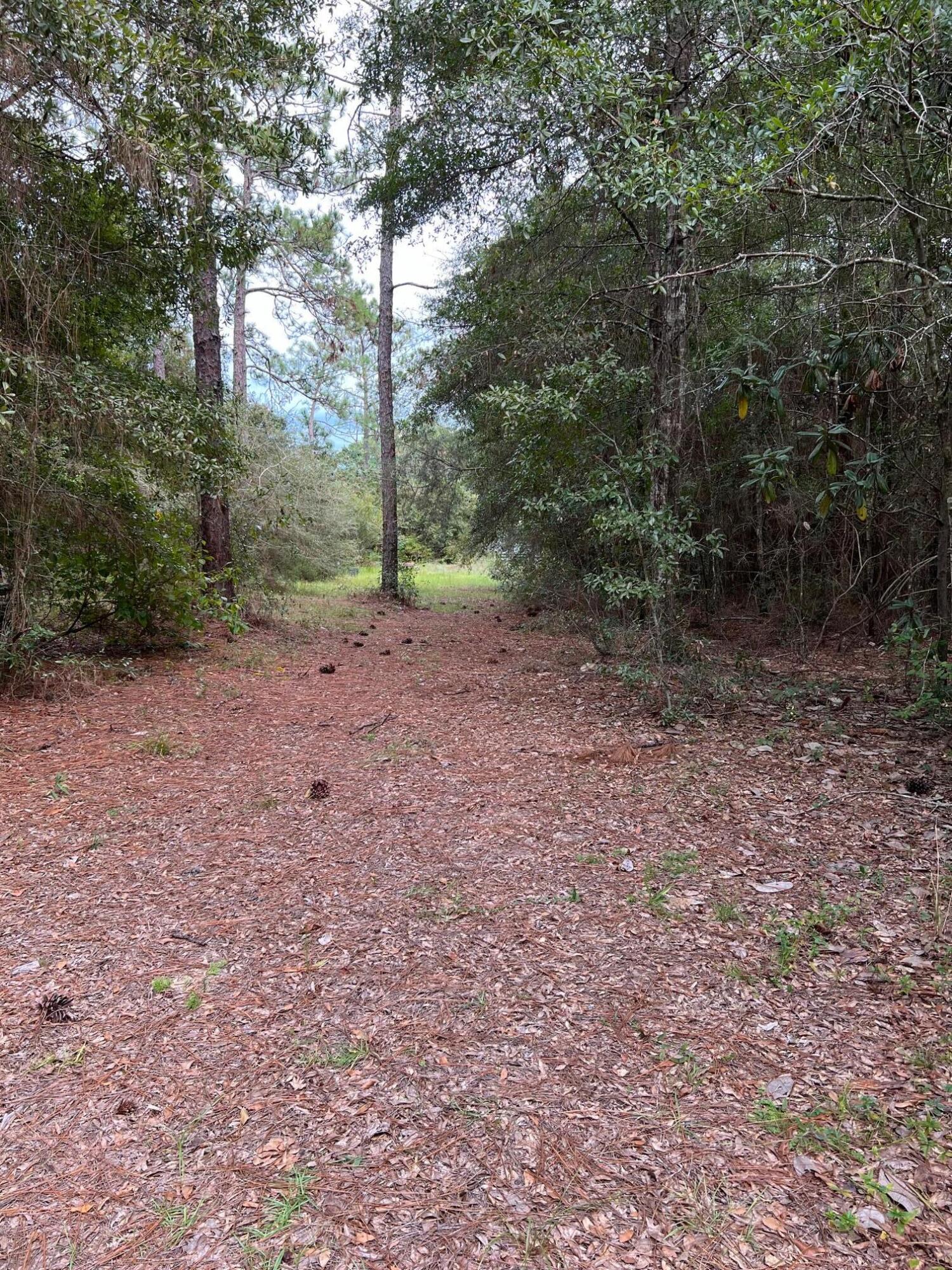 KING LAKE ESTATES - Land