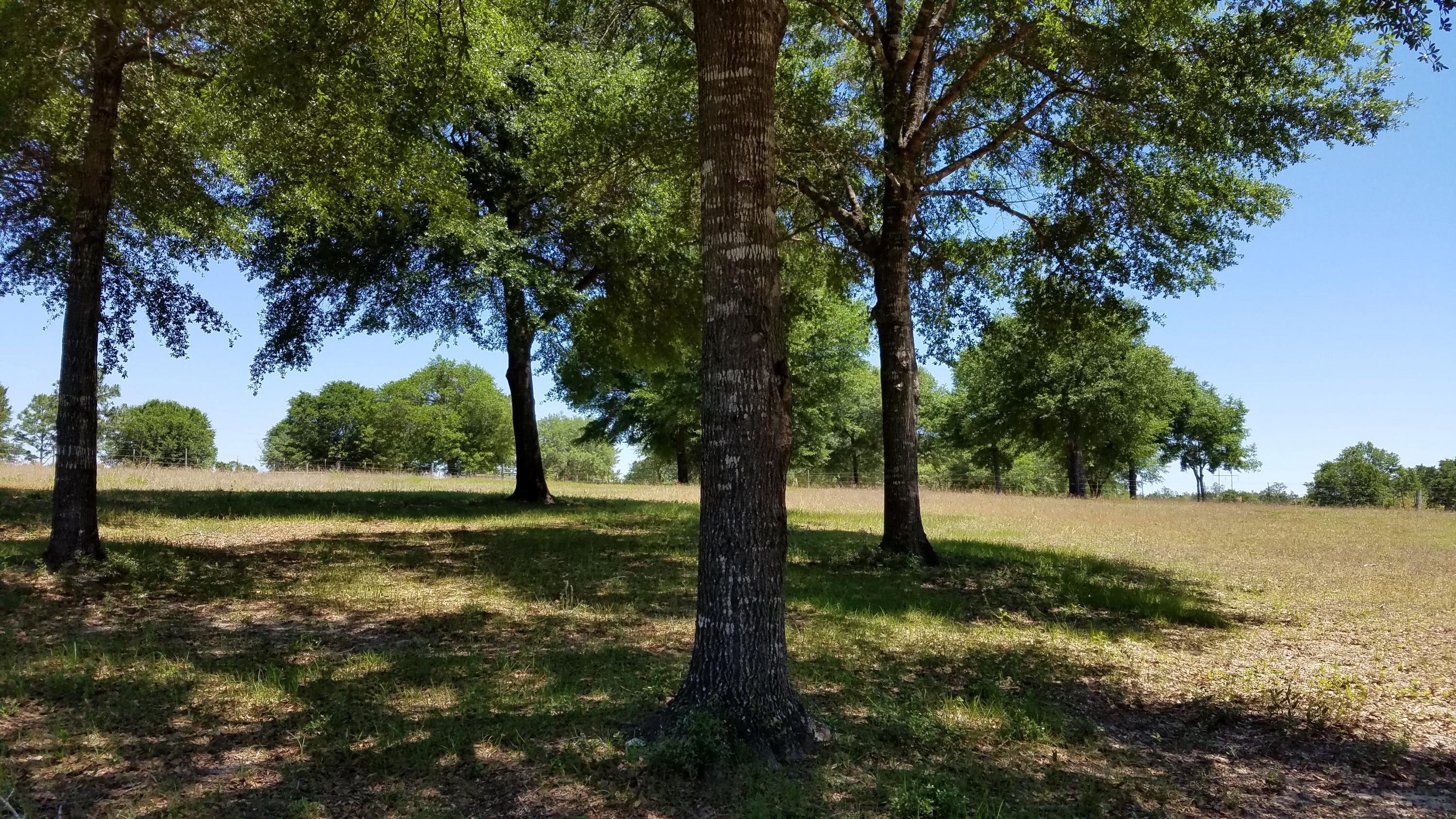 Got cows or horses? This stunning property is ready for you and the farm! Build your dream home on this cleared 14-acre parcel. It already has the fencing, crossed fencing, and gates in place. Give us a call to see this one today!