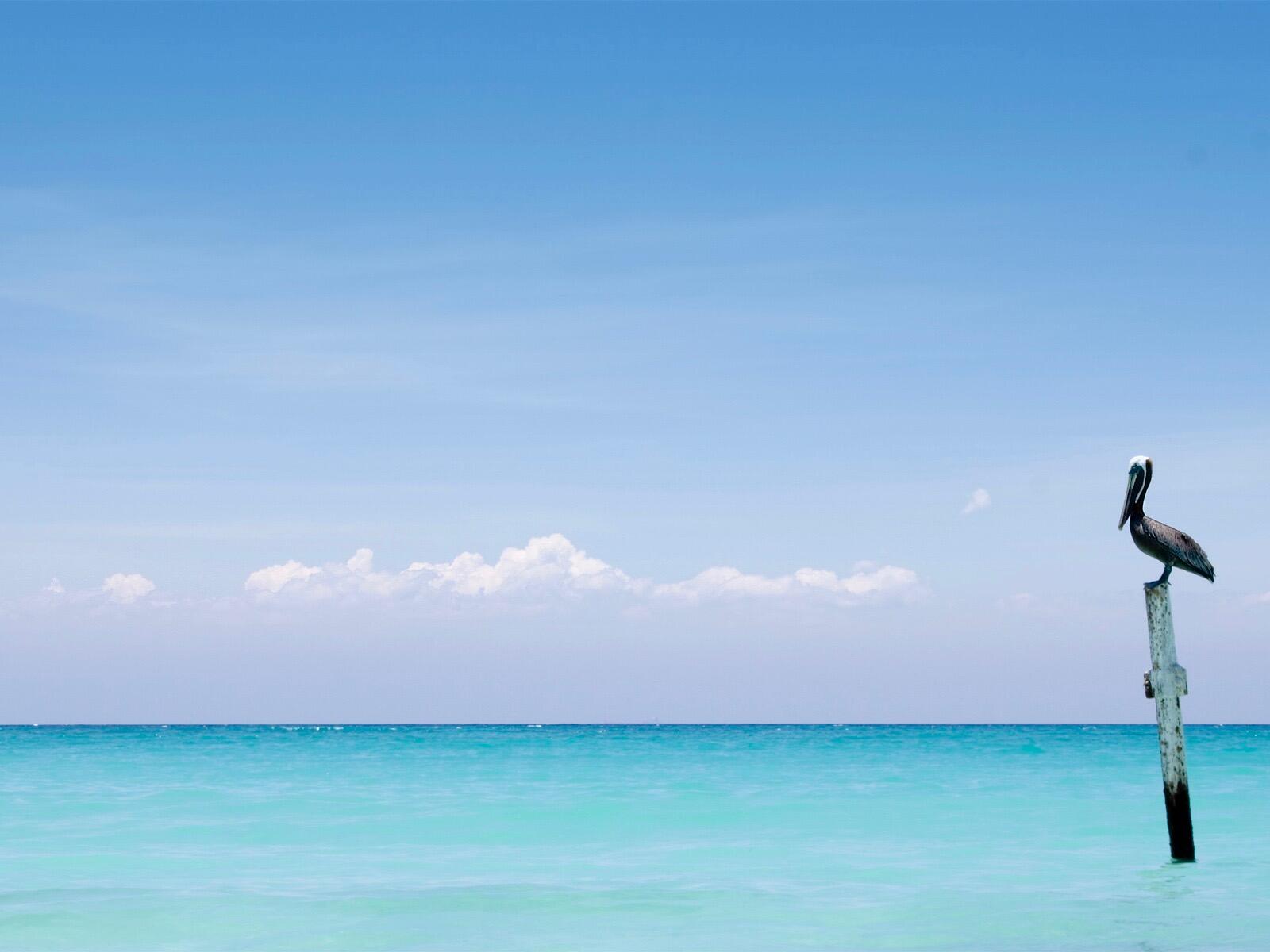 VILLAGES OF CRYSTAL BEACH - Residential