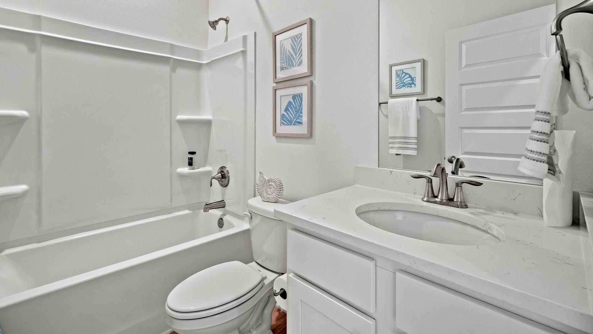Holley Grove at Peach Creek - Residential