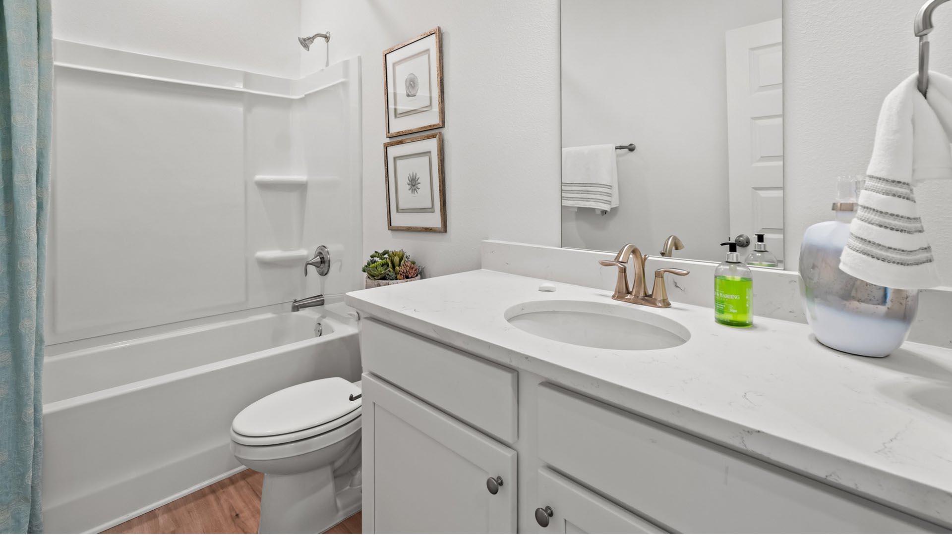 Holley Grove at Peach Creek - Residential
