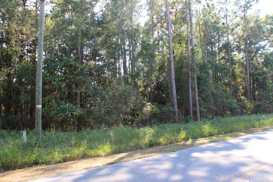 Perfect spot for your own little piece of Paradise. Beautiful neighborhood with no HOA! Prime area between Destin and Panama City. Directly across the street from the Bay. Very inviting location. Quiet, close to shopping (Grayton), fishing, boating, paddle boarding and much more. You are seriously 7 minutes from the Gulf. there are two adjoining lots that can be purchased together or as a single lot. Side by side, definitely worth taking a look at. Million dollar homes across the street. So much potential. Hookups are available through Regional Utilities. Survey has been ordered. All dimensions are approximate and should be verified by the buyer.