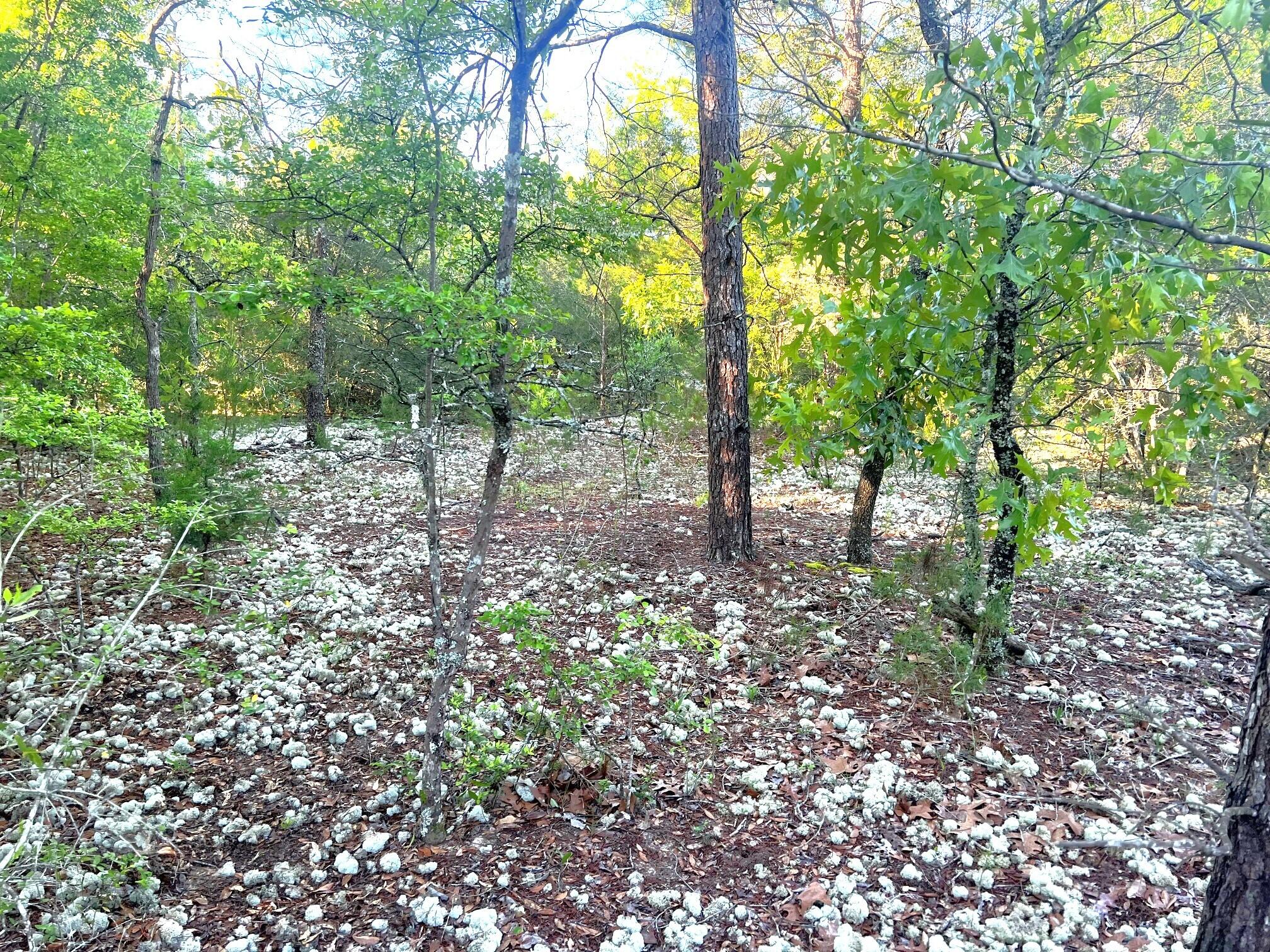 Juniper Lake Estates Unit 6 Oakwood Hills - Land