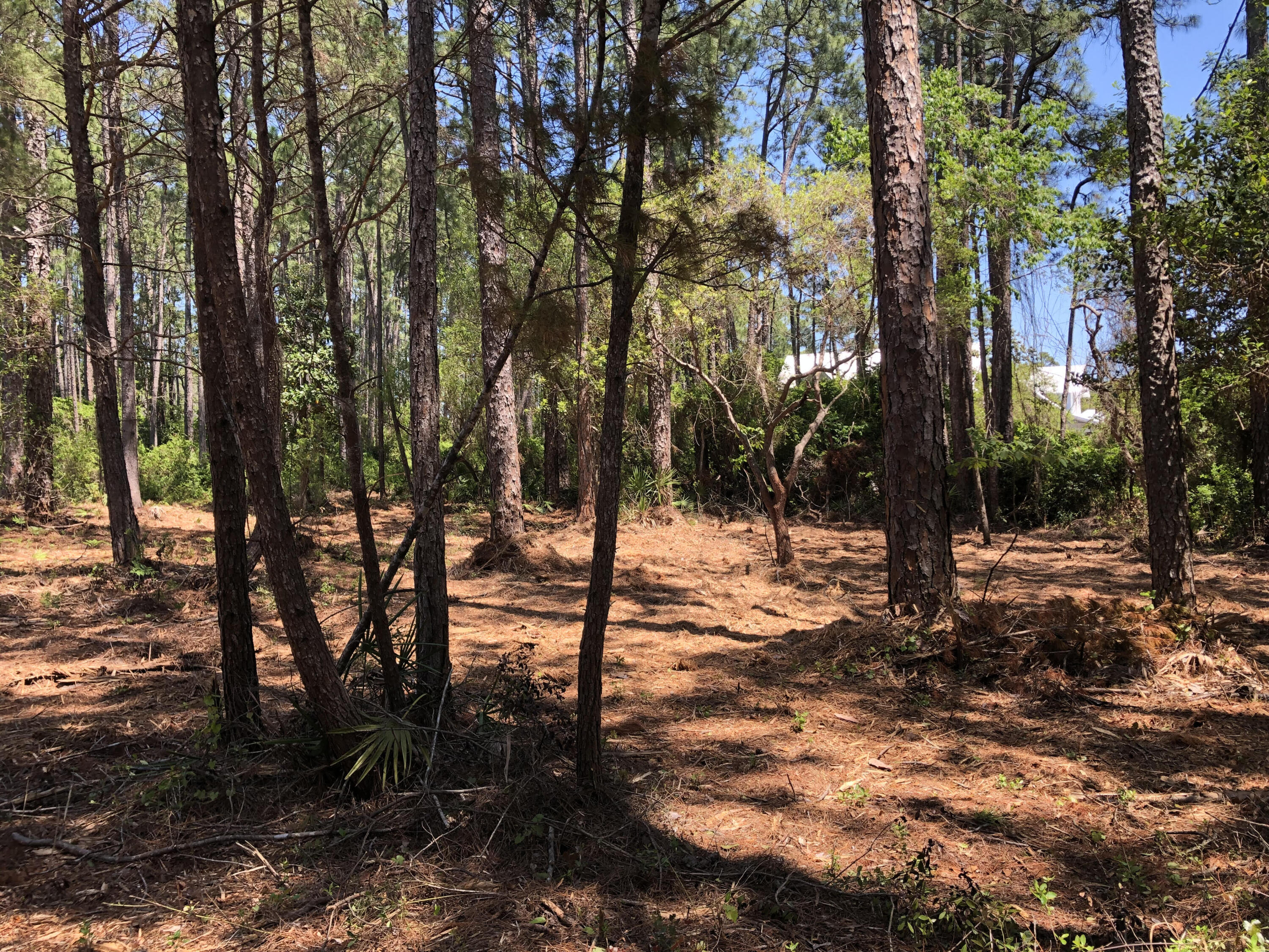 GULF HILLS ESTATES UNREC - Land