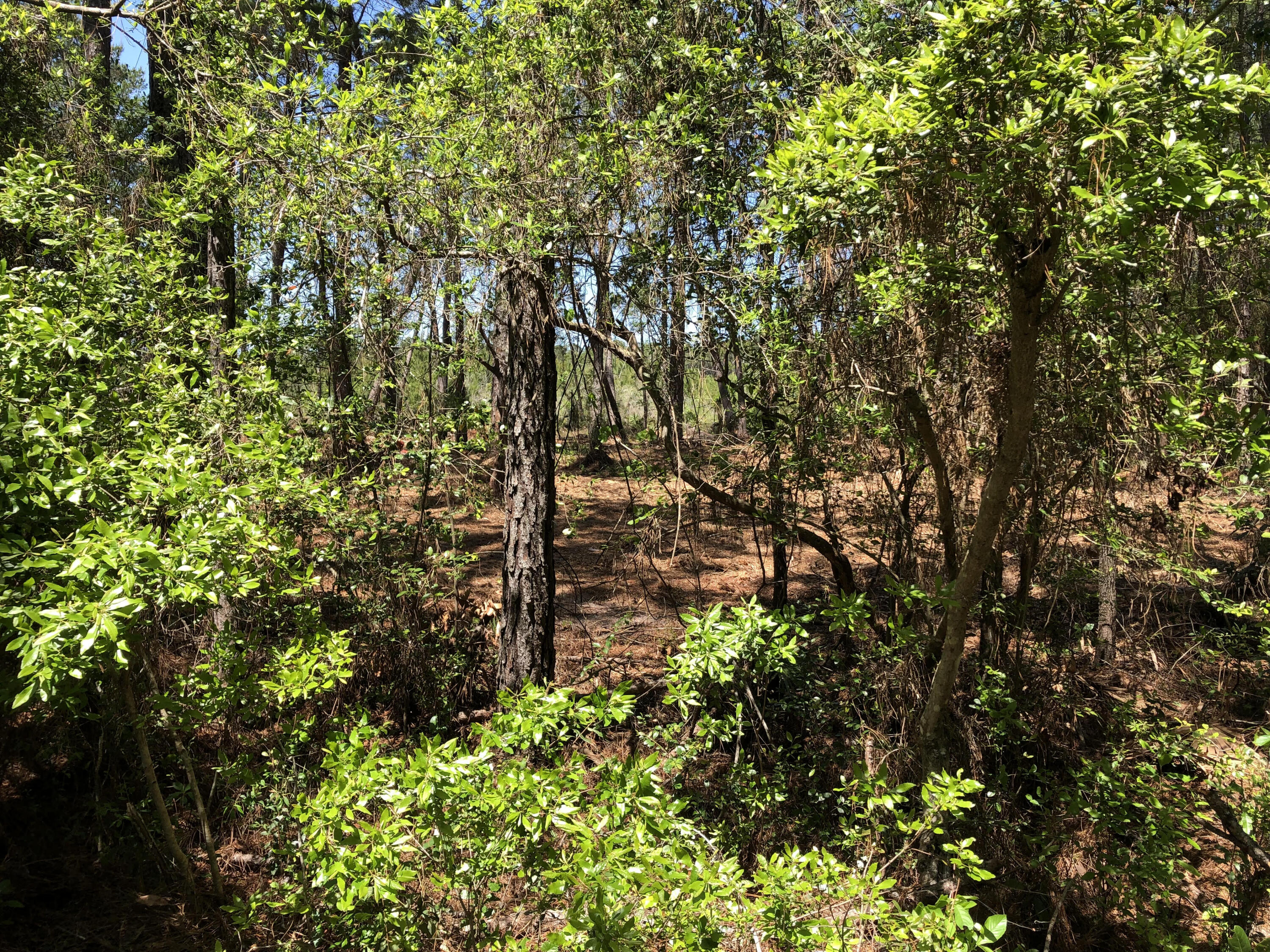 GULF HILLS ESTATES UNREC - Land