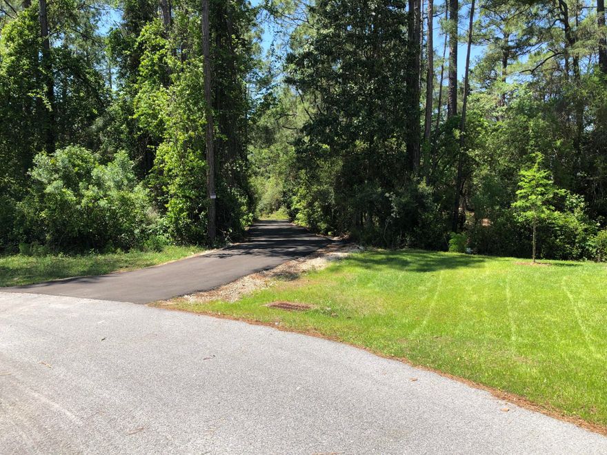 Beautiful Lot backs up to State Forest in Blue Mtn Beach. Experience the 30a lifestyle with privacy. Convenient access to beaches. No buildout time or HOA's. Enjoy walking and bike trails just steps away. All utilities available. Small strip of wetlands on eastern property line and lies both in an X & A flood plain. Adjacent property available to create a 1/2-acre estate size lot if interested.