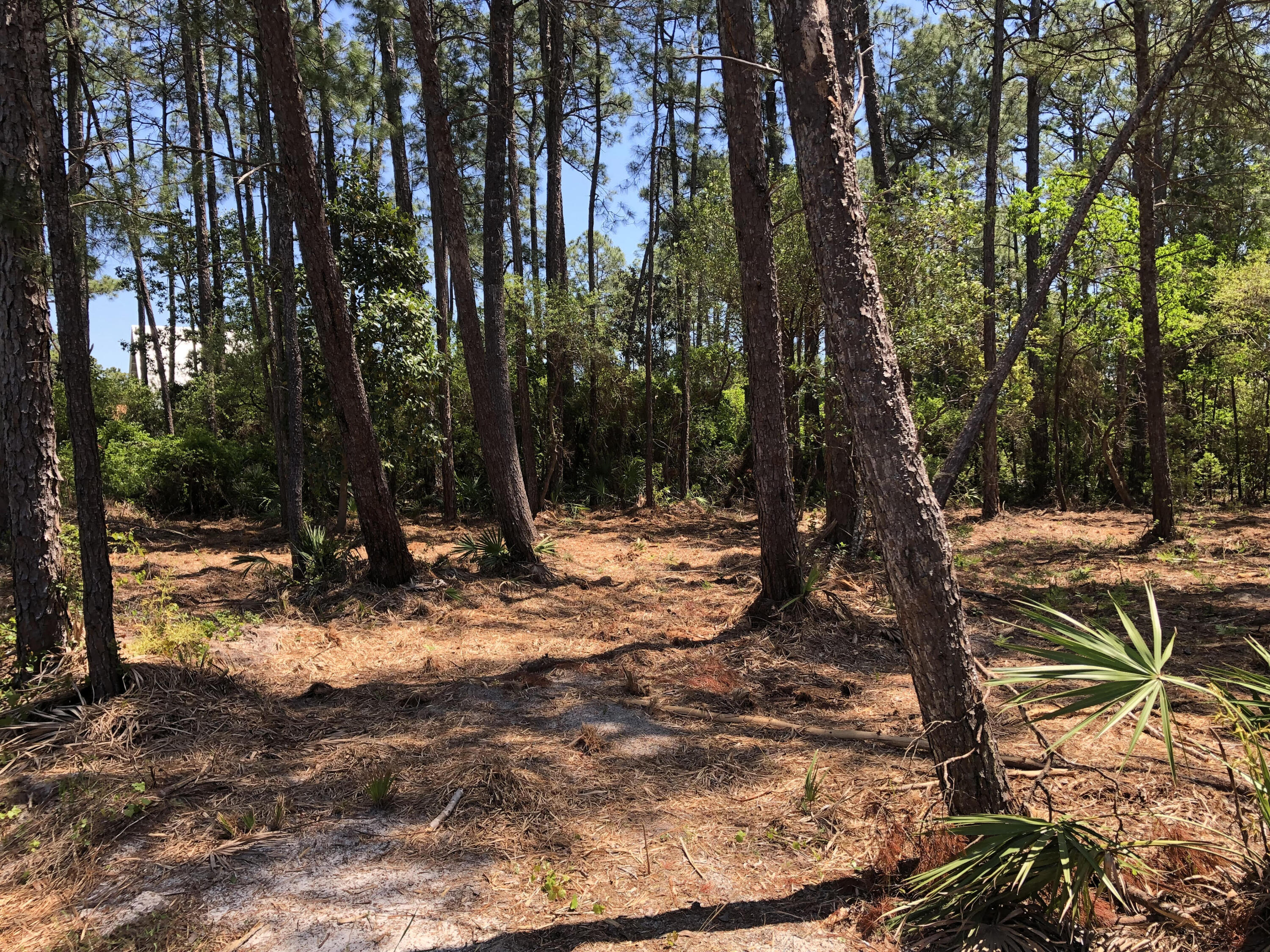 GULF HILLS ESTATES UNREC - Land