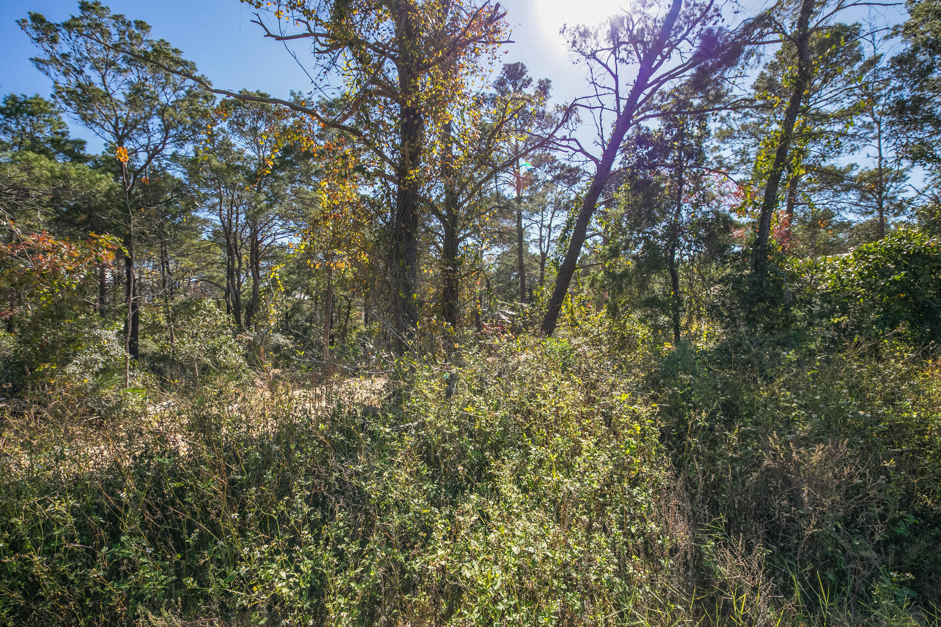 Gulfview Heights S/D - Land