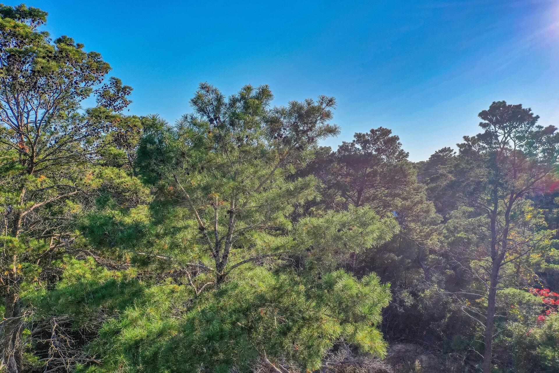Gulfview Heights S/D - Land