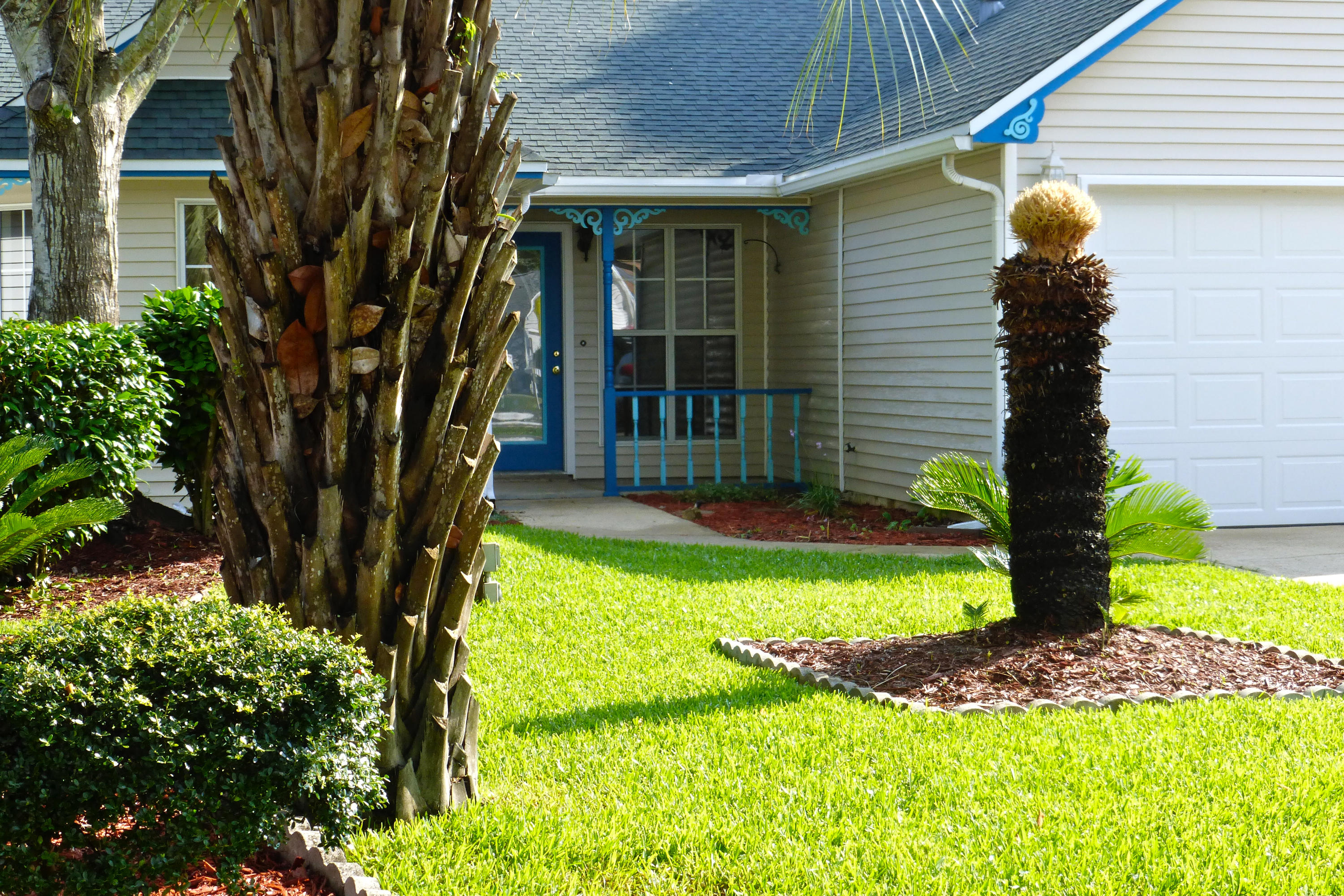 BLUE PINE VILLAGE PH 2 - Residential