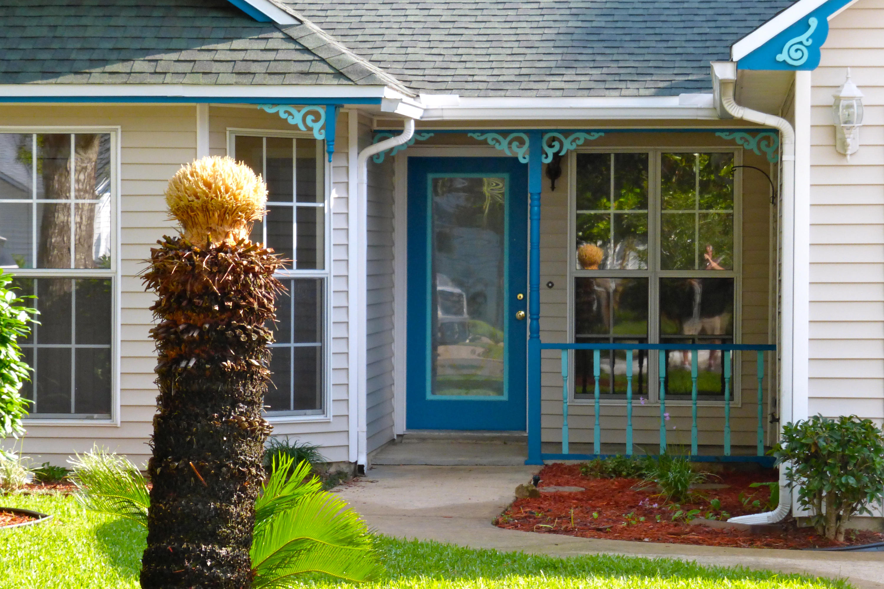 BLUE PINE VILLAGE PH 2 - Residential