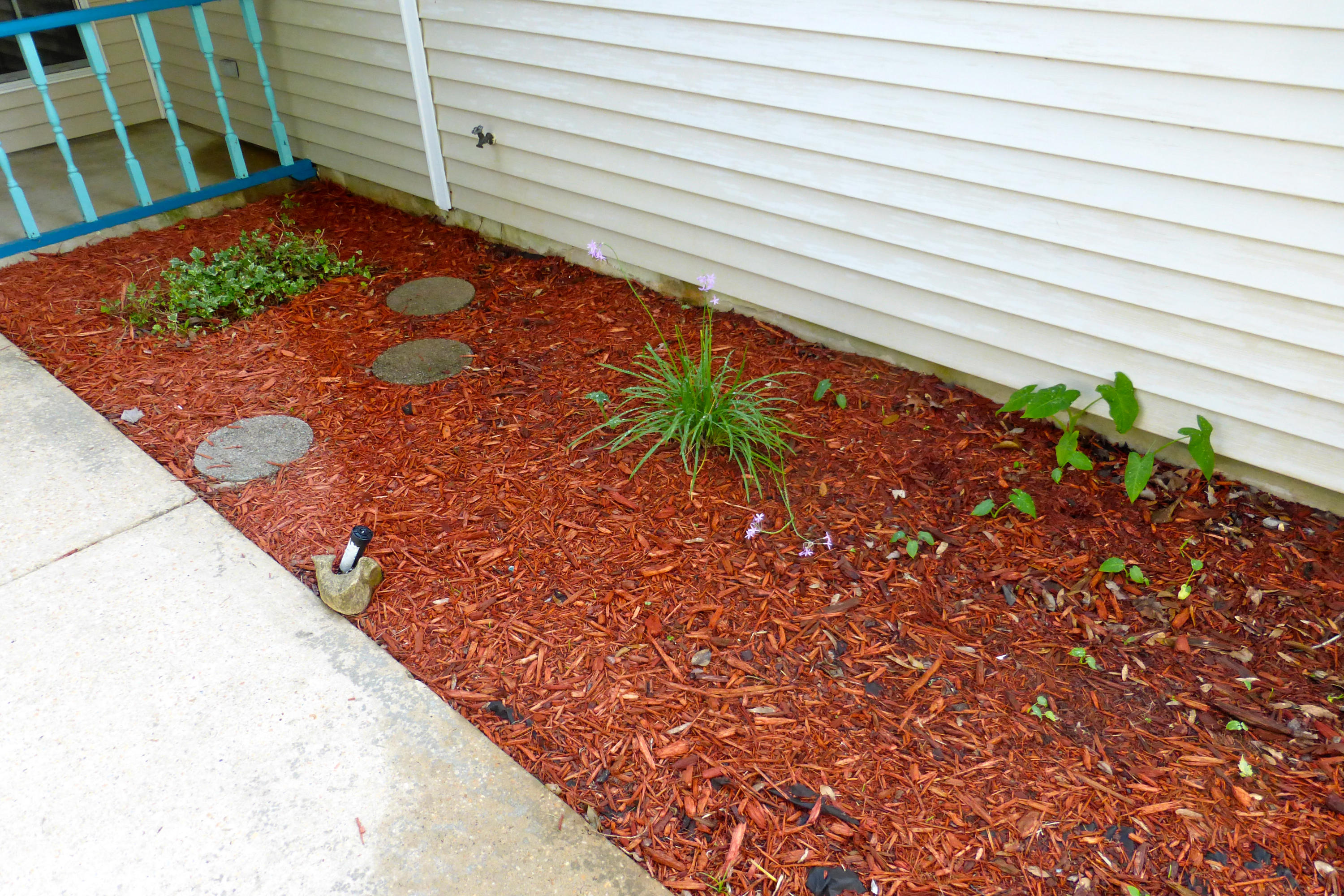 BLUE PINE VILLAGE PH 2 - Residential