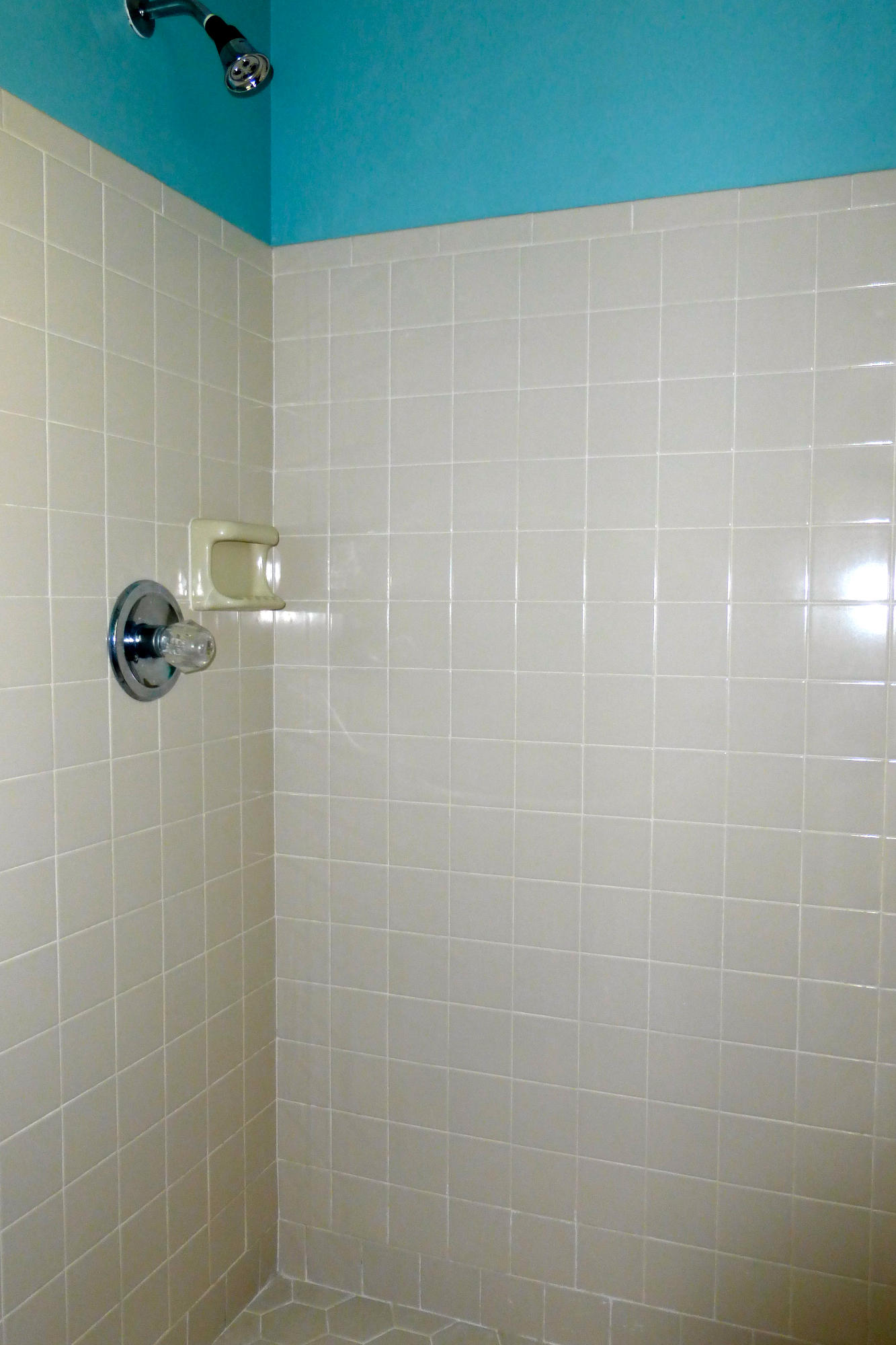 BLUE PINE VILLAGE PH 2 - Residential