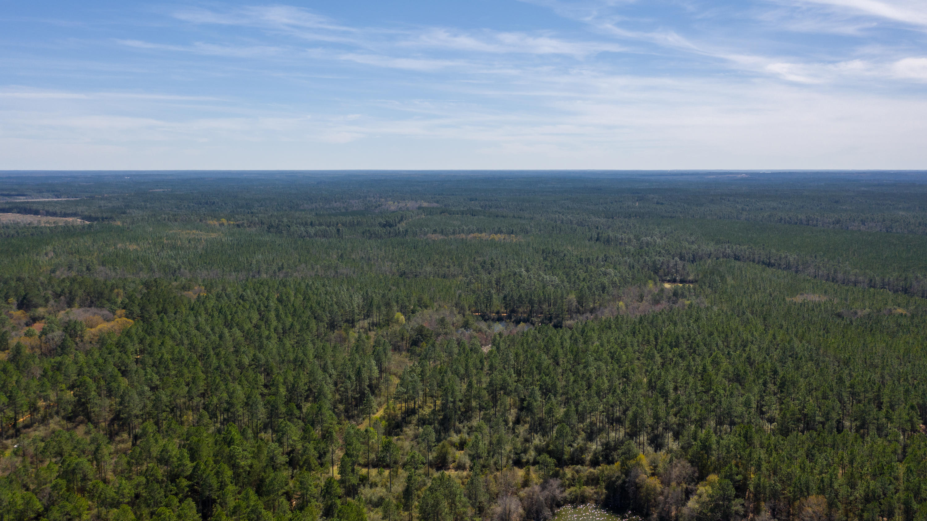 LOOKING FOR A GREAT PIECE OF PROPERTY NORTH OF CRESTVIEW TO BUILD YOUR DREAM HOME? THIS 20 ACRE PARCEL IS A GREAT PARCEL WITH AN AMAZING POND! PROPERTY IS ZONED FOR HORSES AND COWS ALLOWED AS WELL AS MANUFACTORED HOMES. TONS OF WILDLIFE ABOUND - PERFECT PLACE TO FIND THE RELAXING HOMESITE YOU HAVE BEEN DREAMING OF! SURVEY MARKERS ARE IN PLACE