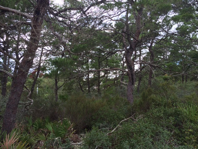 Santa Rosa Ridge Unit III - Land