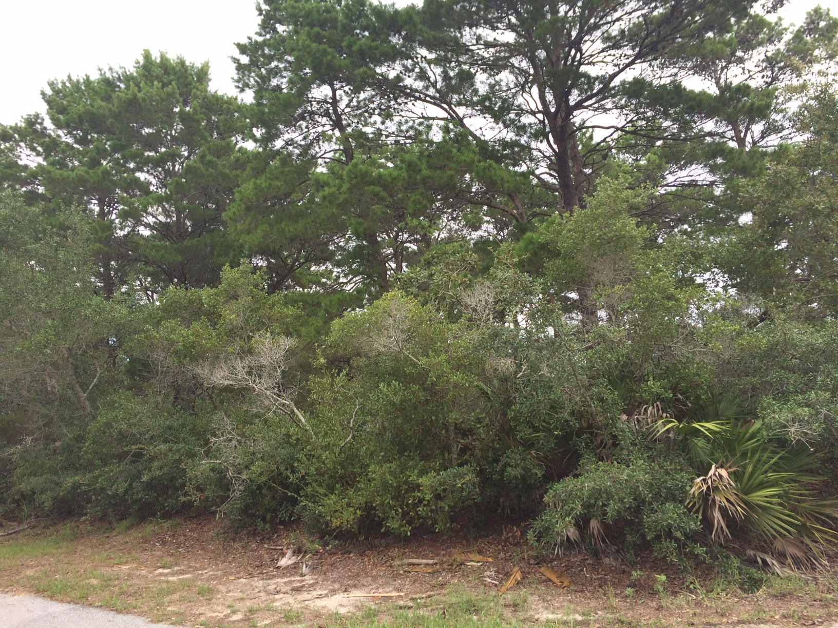 Santa Rosa Ridge Unit III - Land