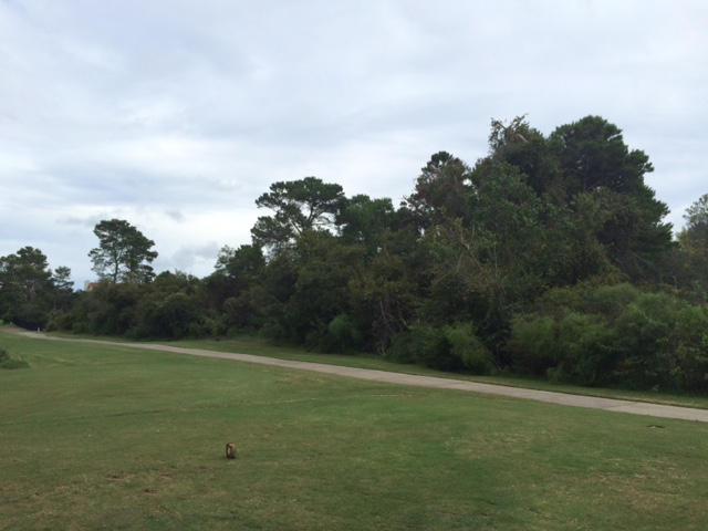 Santa Rosa Ridge Unit III - Land