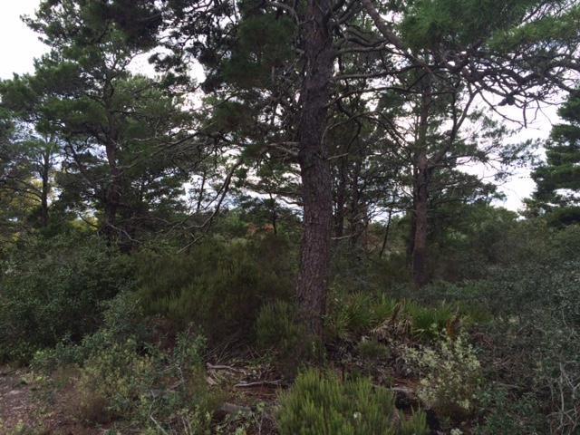 Santa Rosa Ridge Unit III - Land