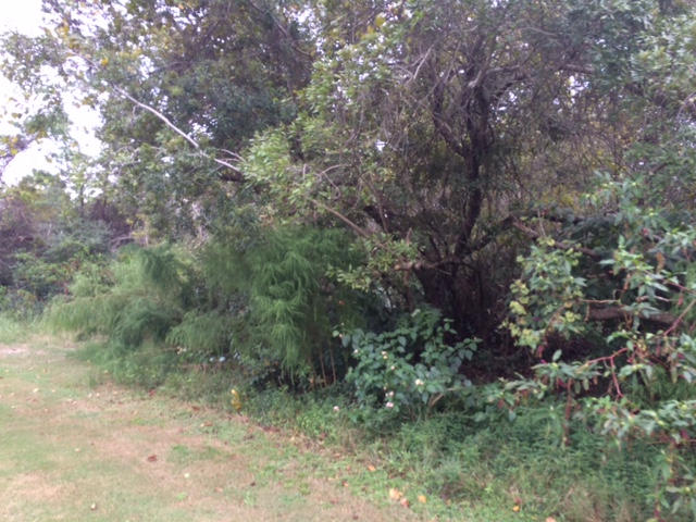 Santa Rosa Ridge Unit III - Land