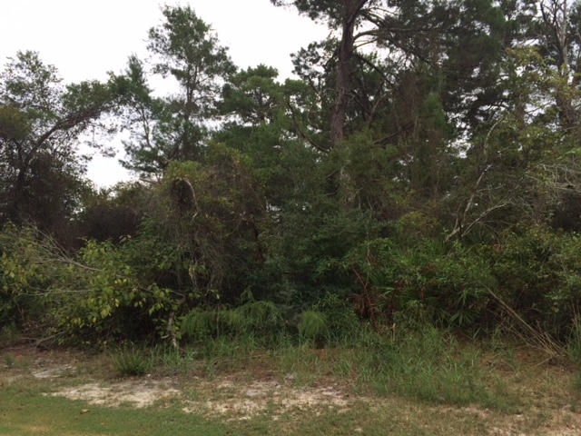 Santa Rosa Ridge Unit III - Land