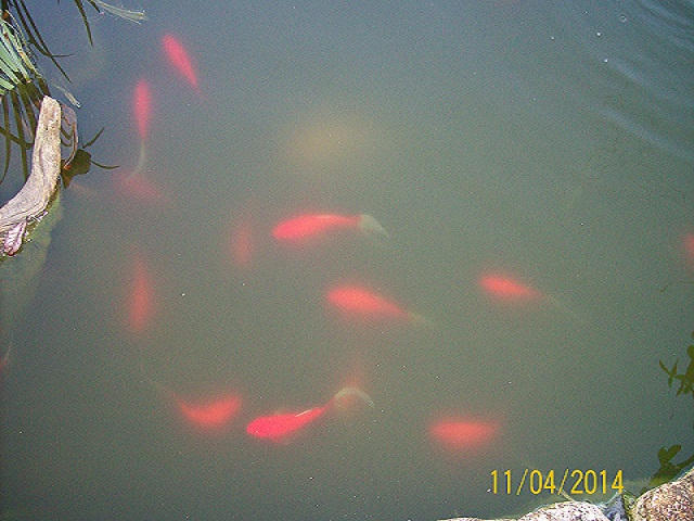 SHOAL TERRACE ESTATES - Residential