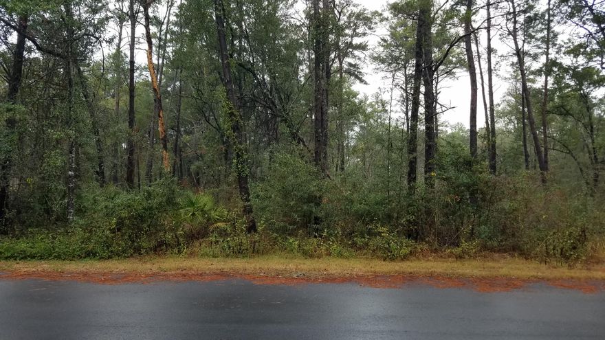 Well sought after 1/2 acre lot in the beautiful Eden Estates! Convenient to shopping, the beaches of South Walton, and Hwy 30A, yet located far enough away to enjoy privacy and serenity. Eden State Park and a public boat launch are mere moments away from this high and dry lot. Come enjoy all that South Walton has to offer! From top rated schools, to shopping, to beaches, to beautiful scenery, all can be easily accessed from this location of your new home site! Buyer to verify all information and perform due diligence.