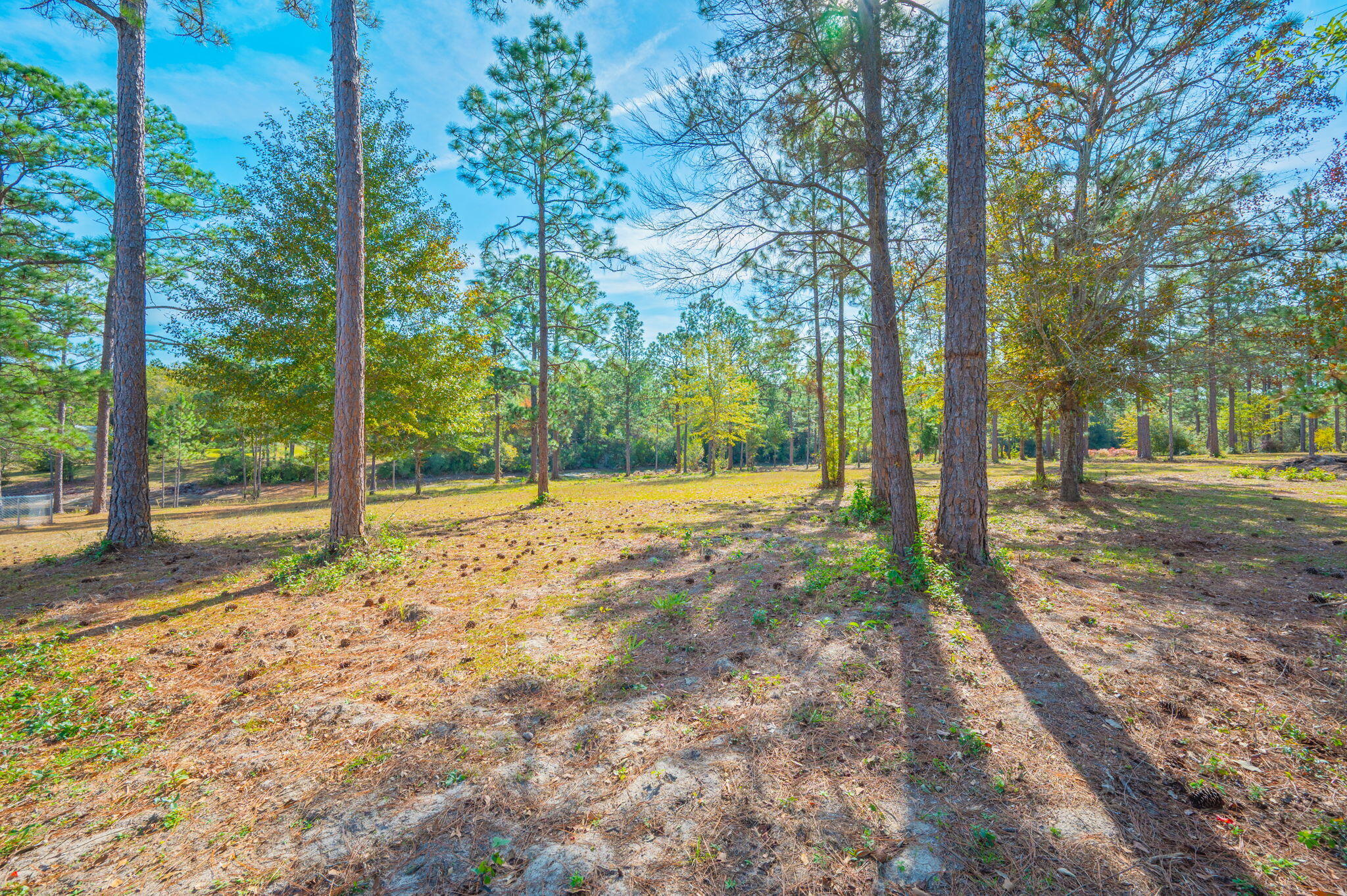 TEN LAKE ESTATES UNIT 1 - Residential Lease