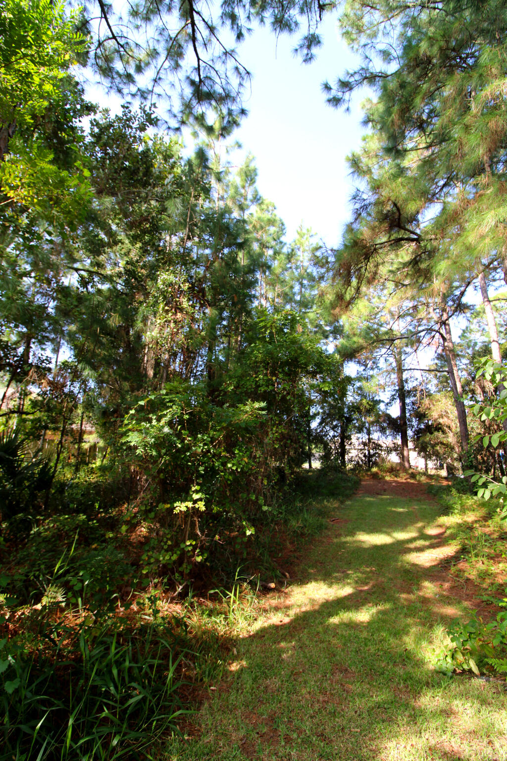 POLYNESIAN ISLANDS - Land