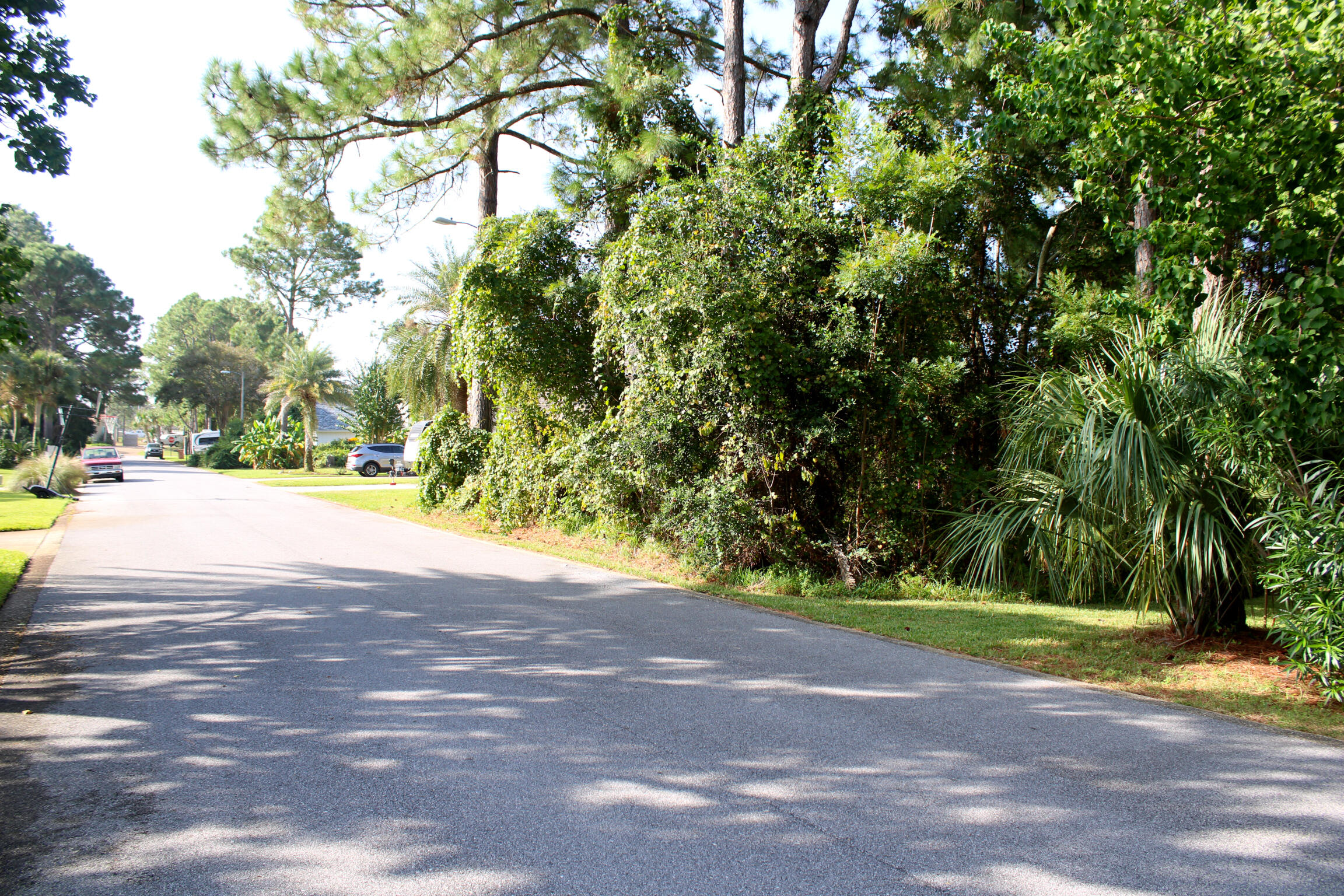 POLYNESIAN ISLANDS - Land