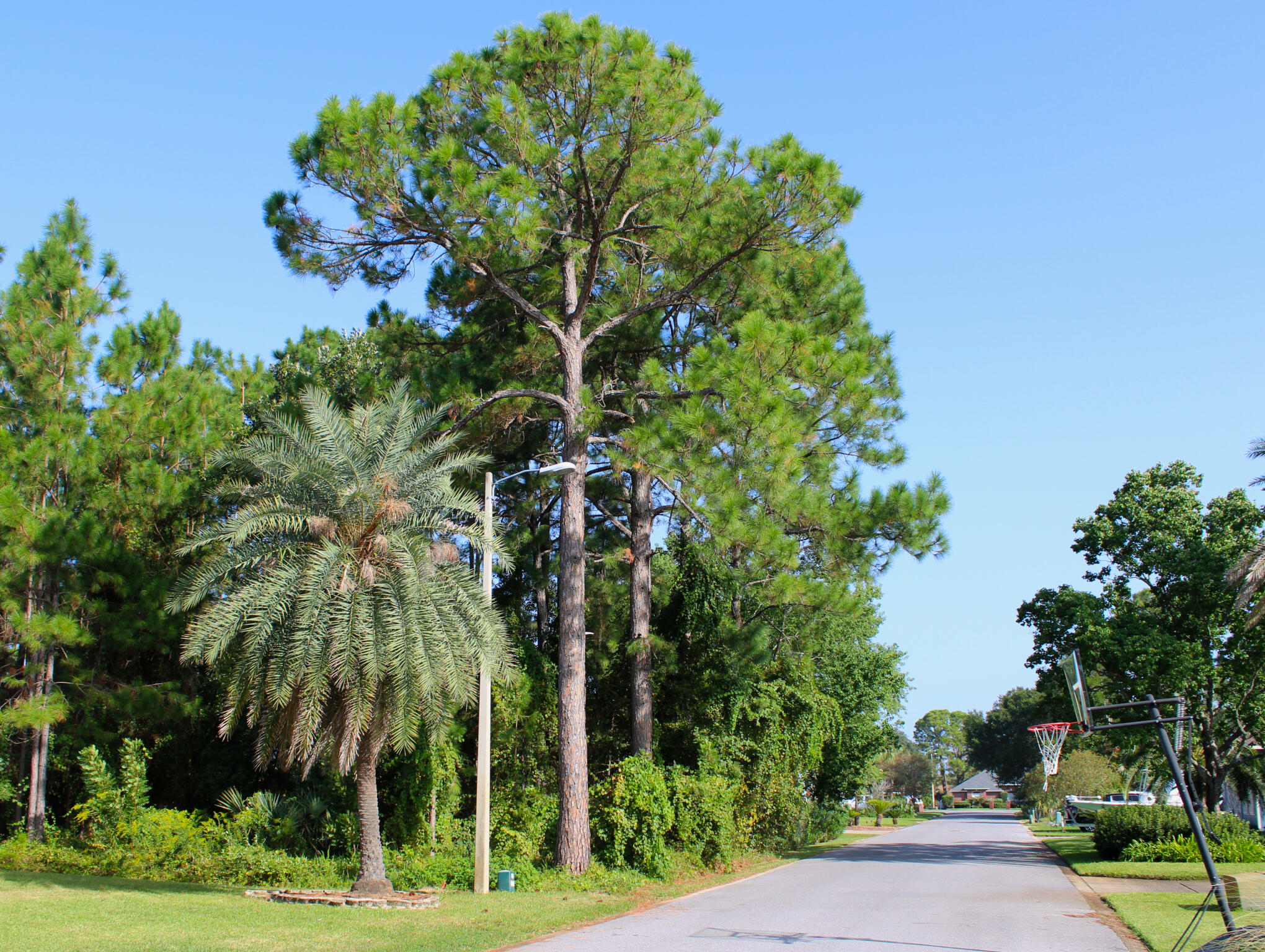 POLYNESIAN ISLANDS - Land