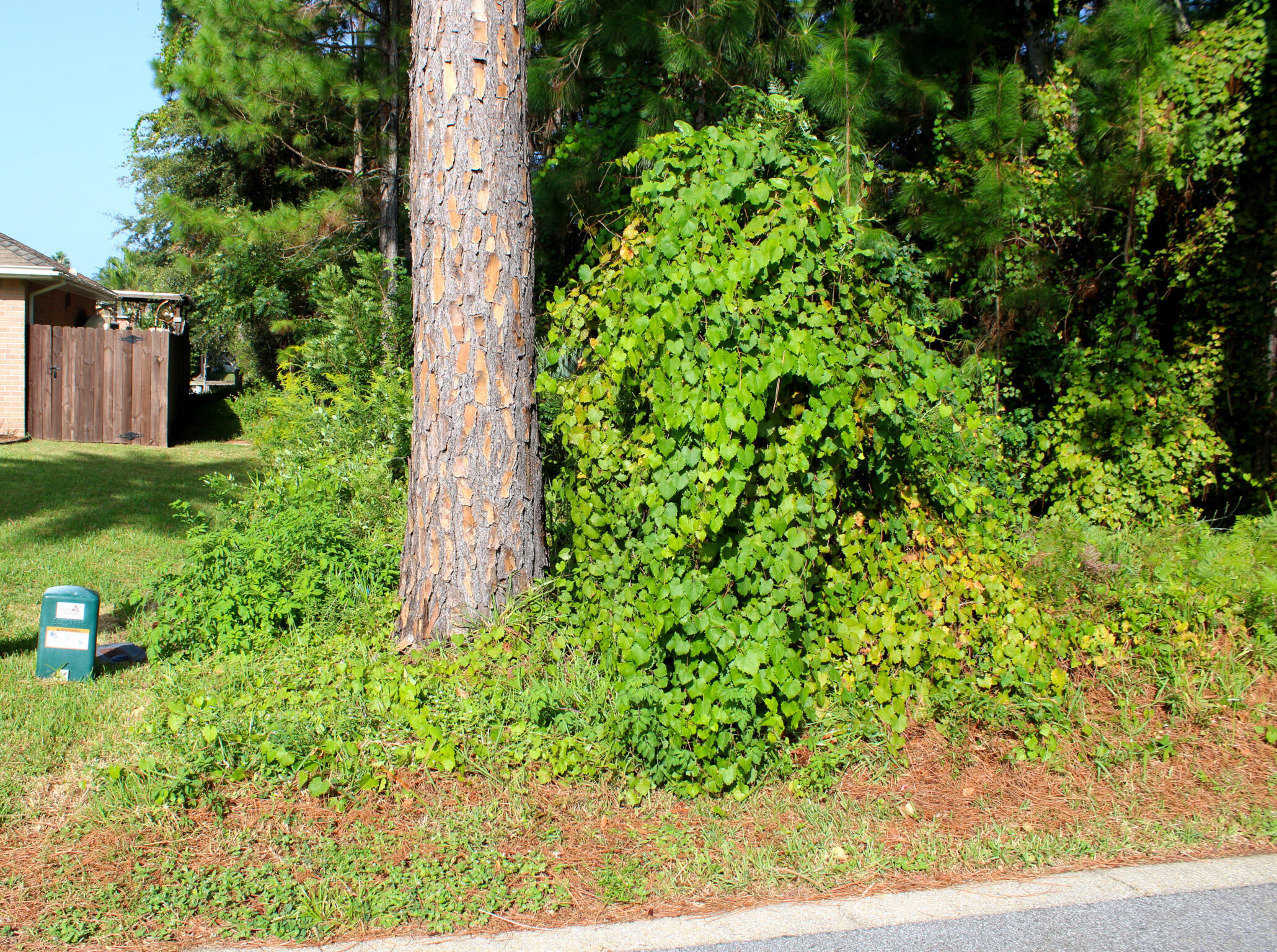 POLYNESIAN ISLANDS - Land