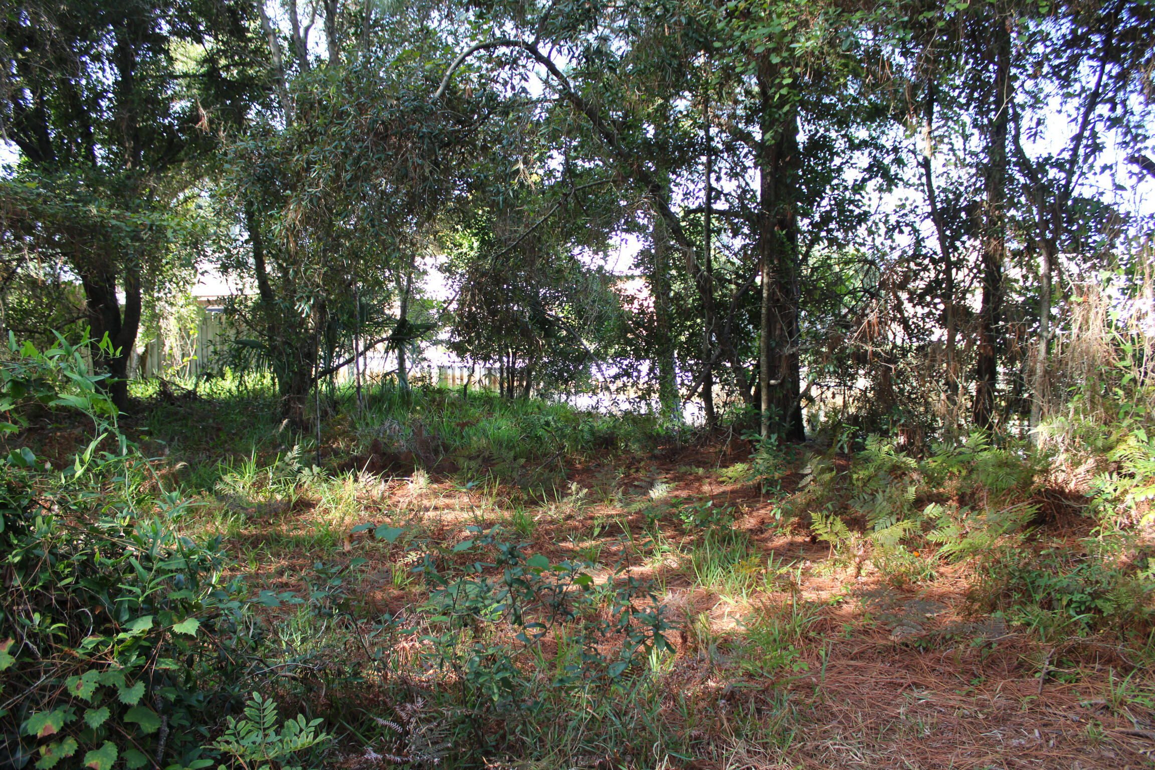 POLYNESIAN ISLANDS - Land