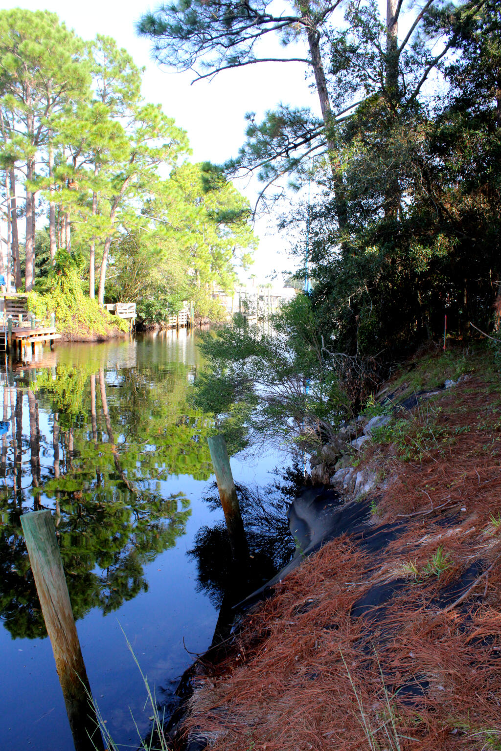 POLYNESIAN ISLANDS - Land