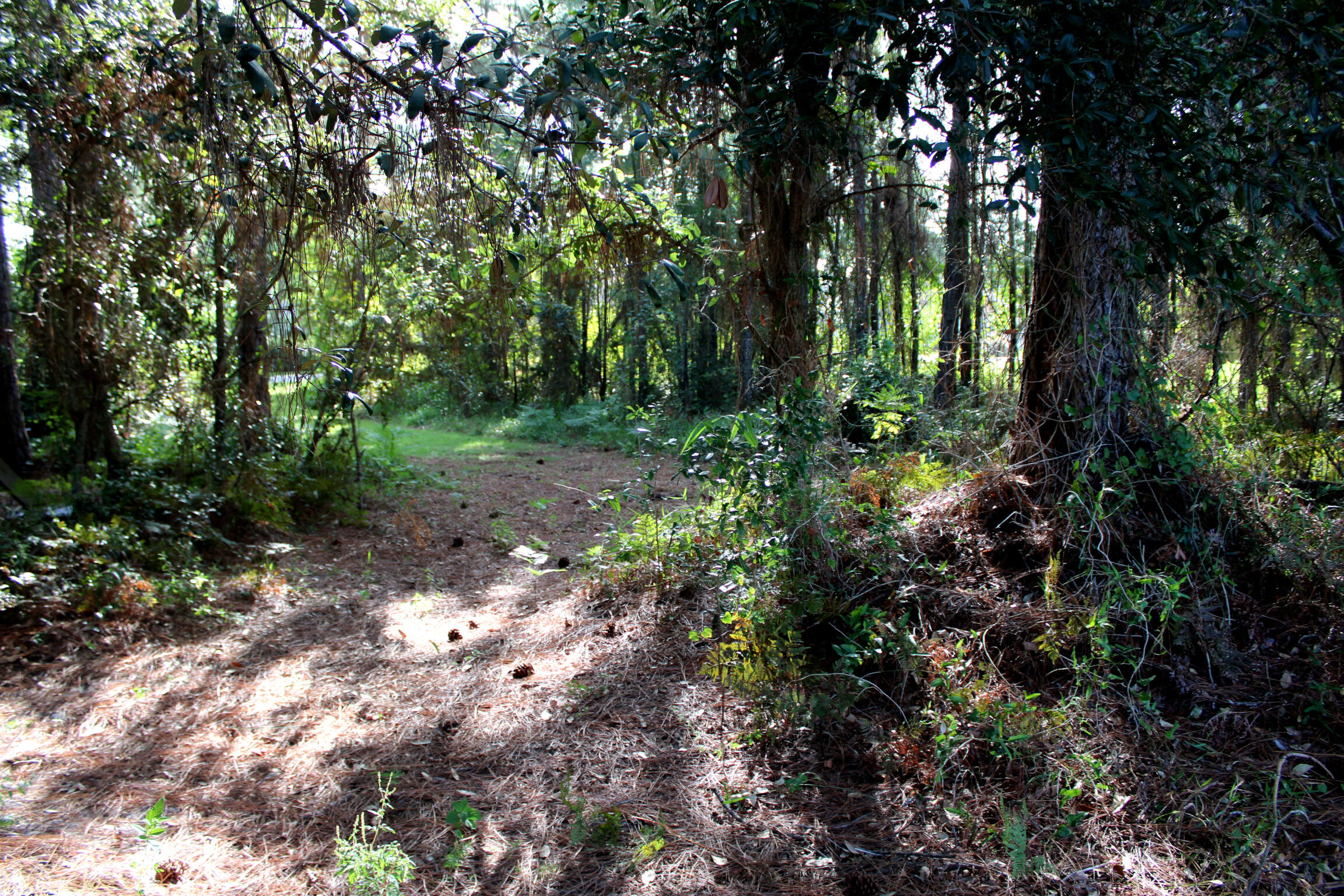 POLYNESIAN ISLANDS - Land