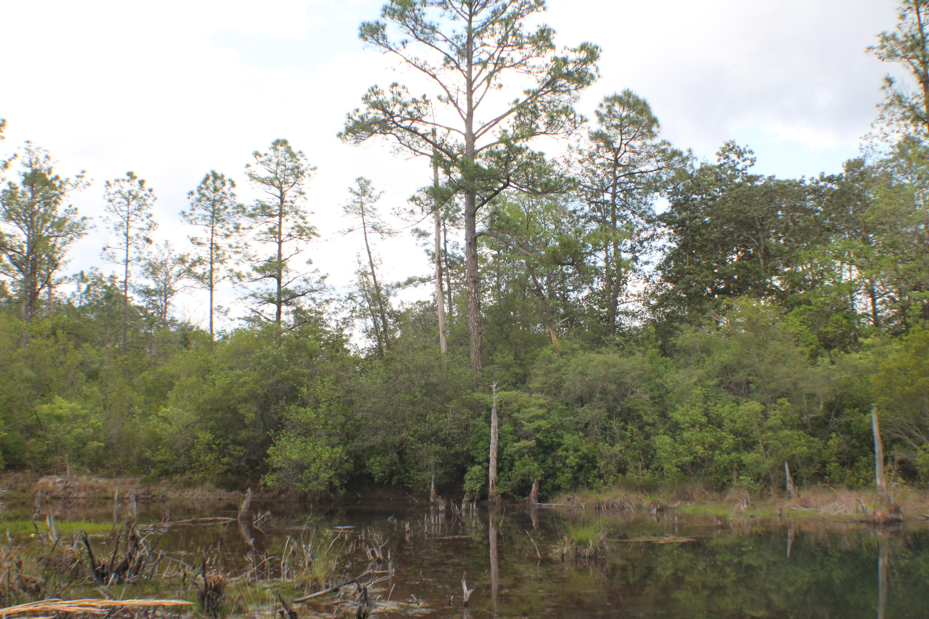 METES & BOUNDS - Farm