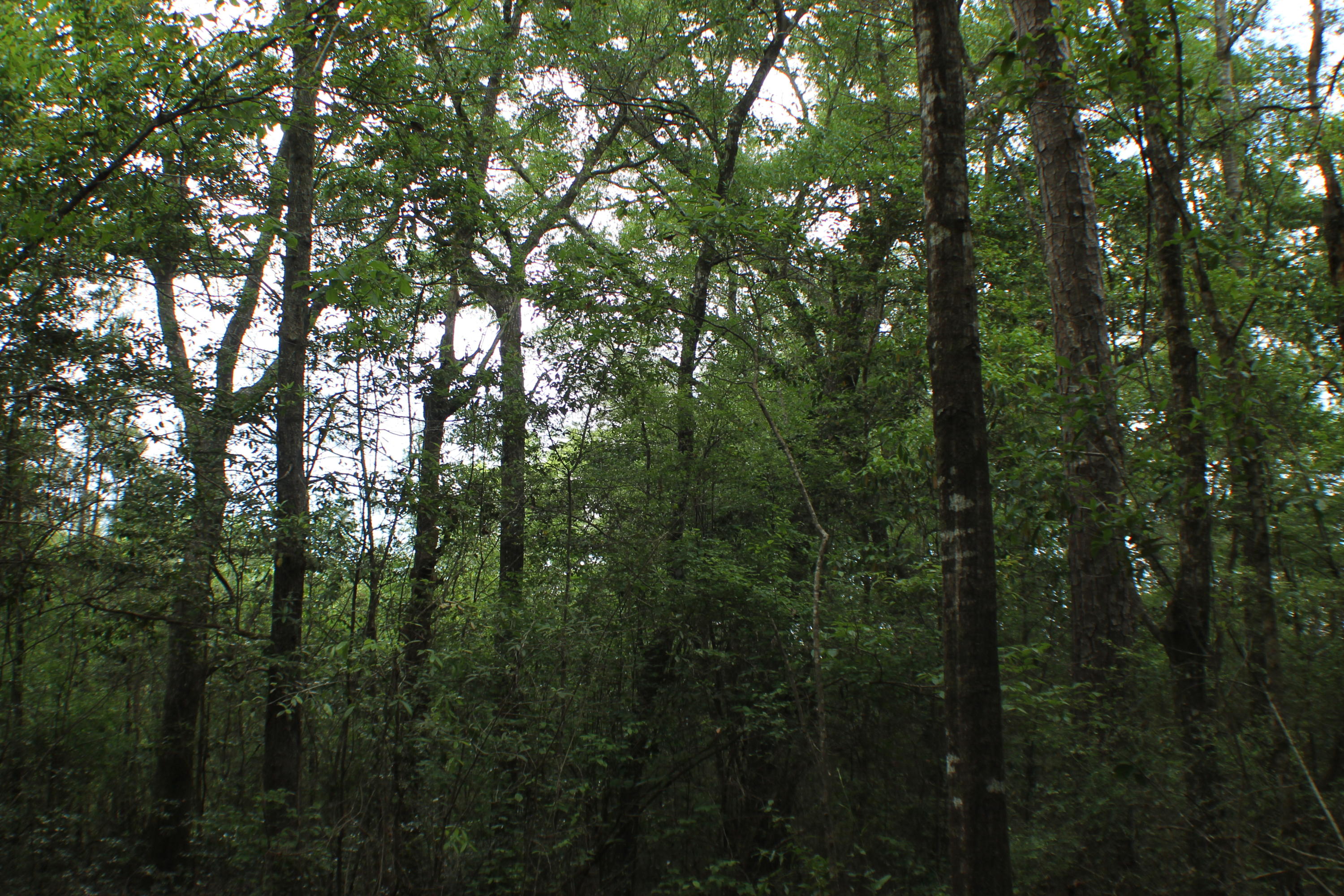 METES & BOUNDS - Farm