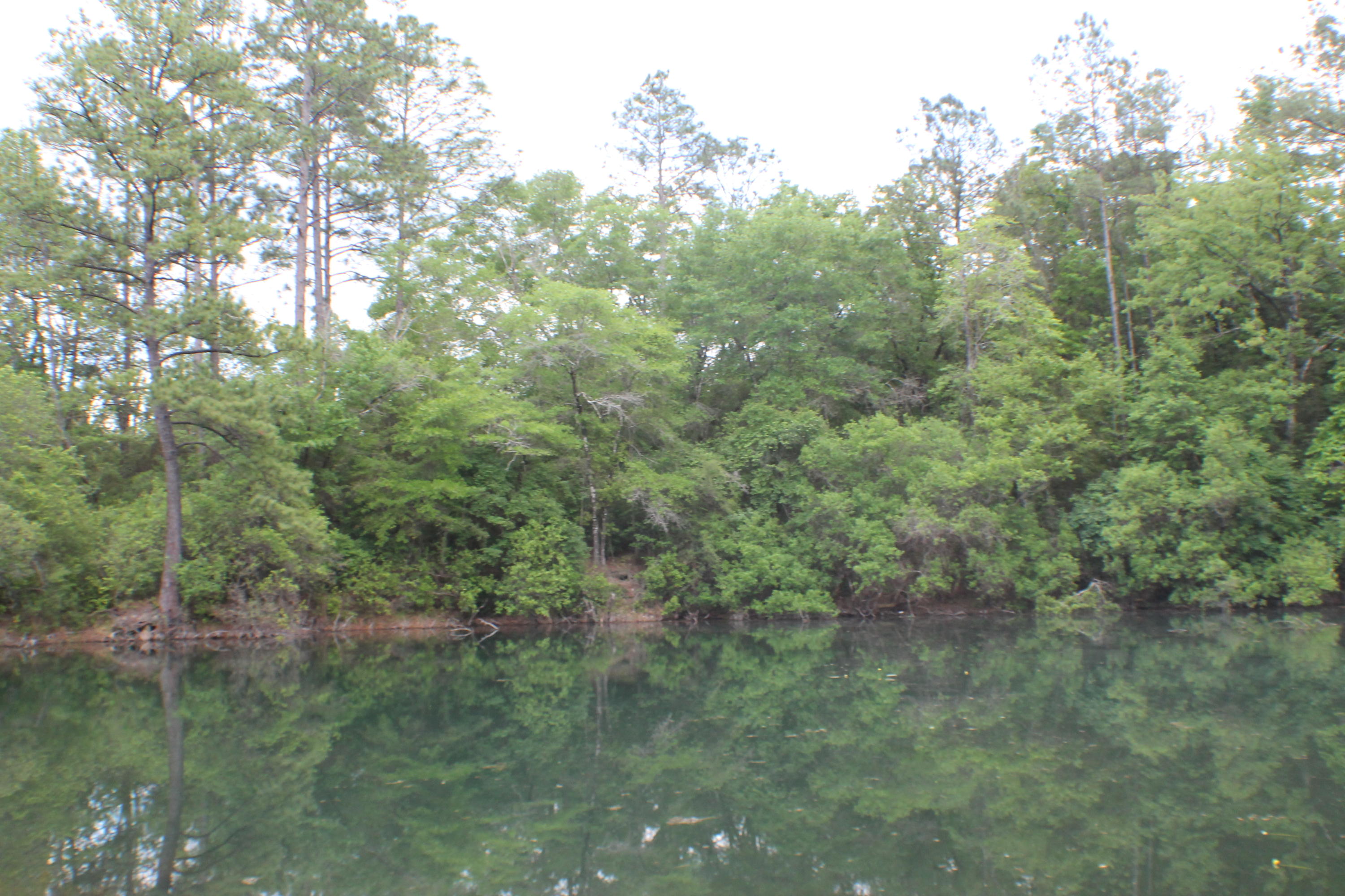 METES & BOUNDS - Farm