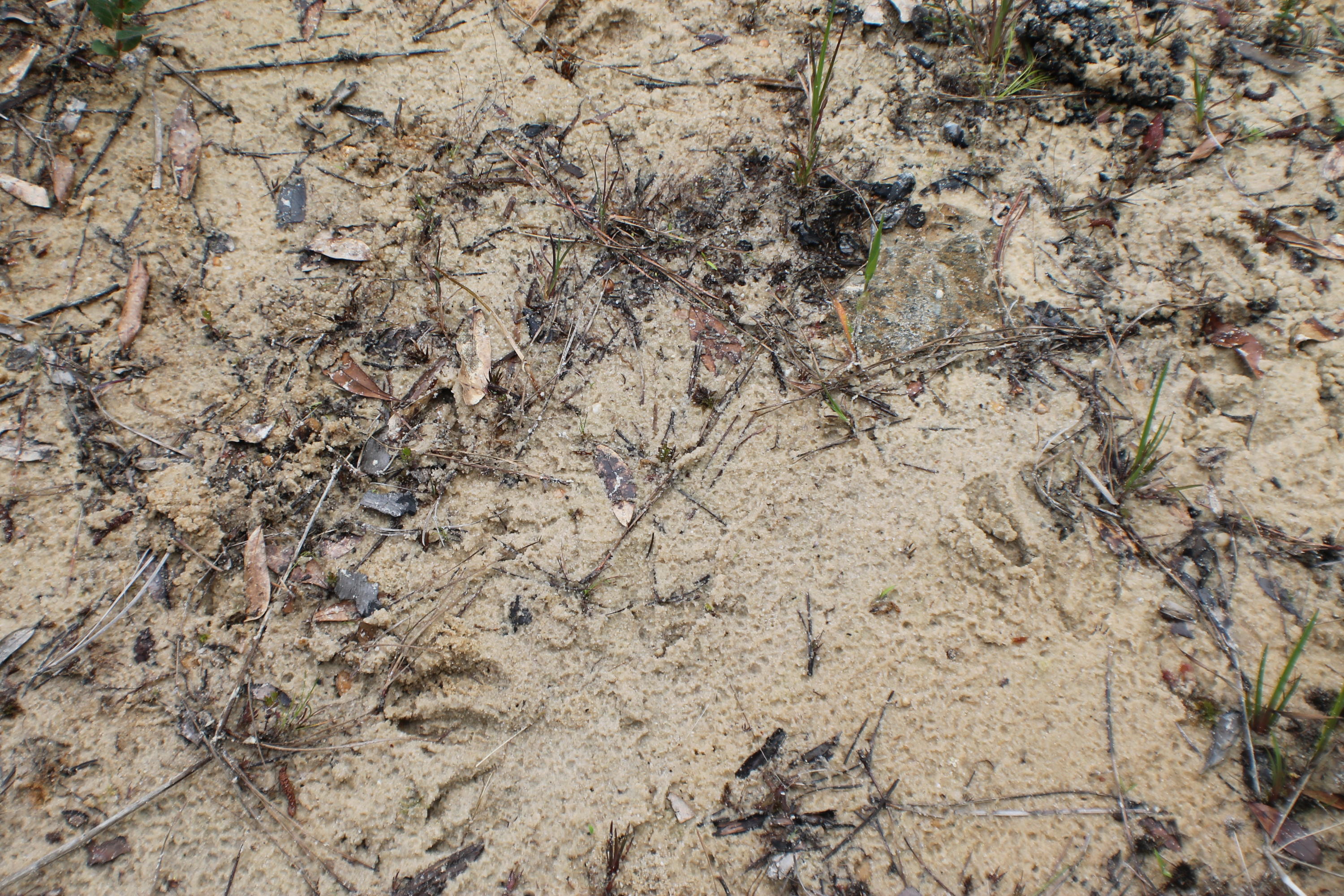 METES & BOUNDS - Farm