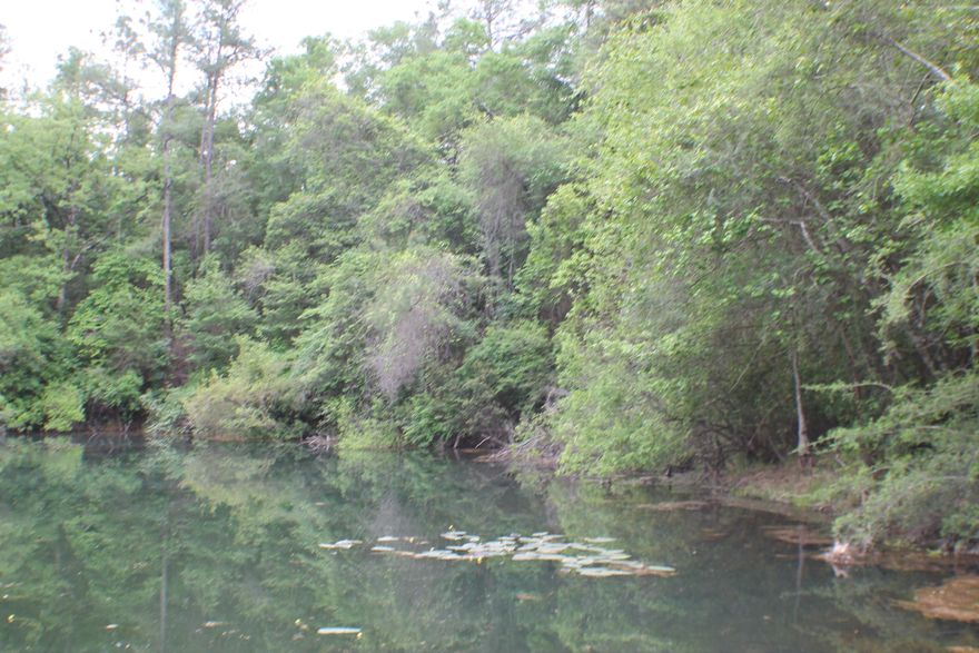 Beautiful Homesite with Live Oak trees and a spring-fed pond! This homesite is rural enough to have deer and turkeys but close enough for a quick commute to area bases, shopping and the whitest beaches in the world! Just north of Destin Fl with easy access to I-10 this is the North Florida Dream site!