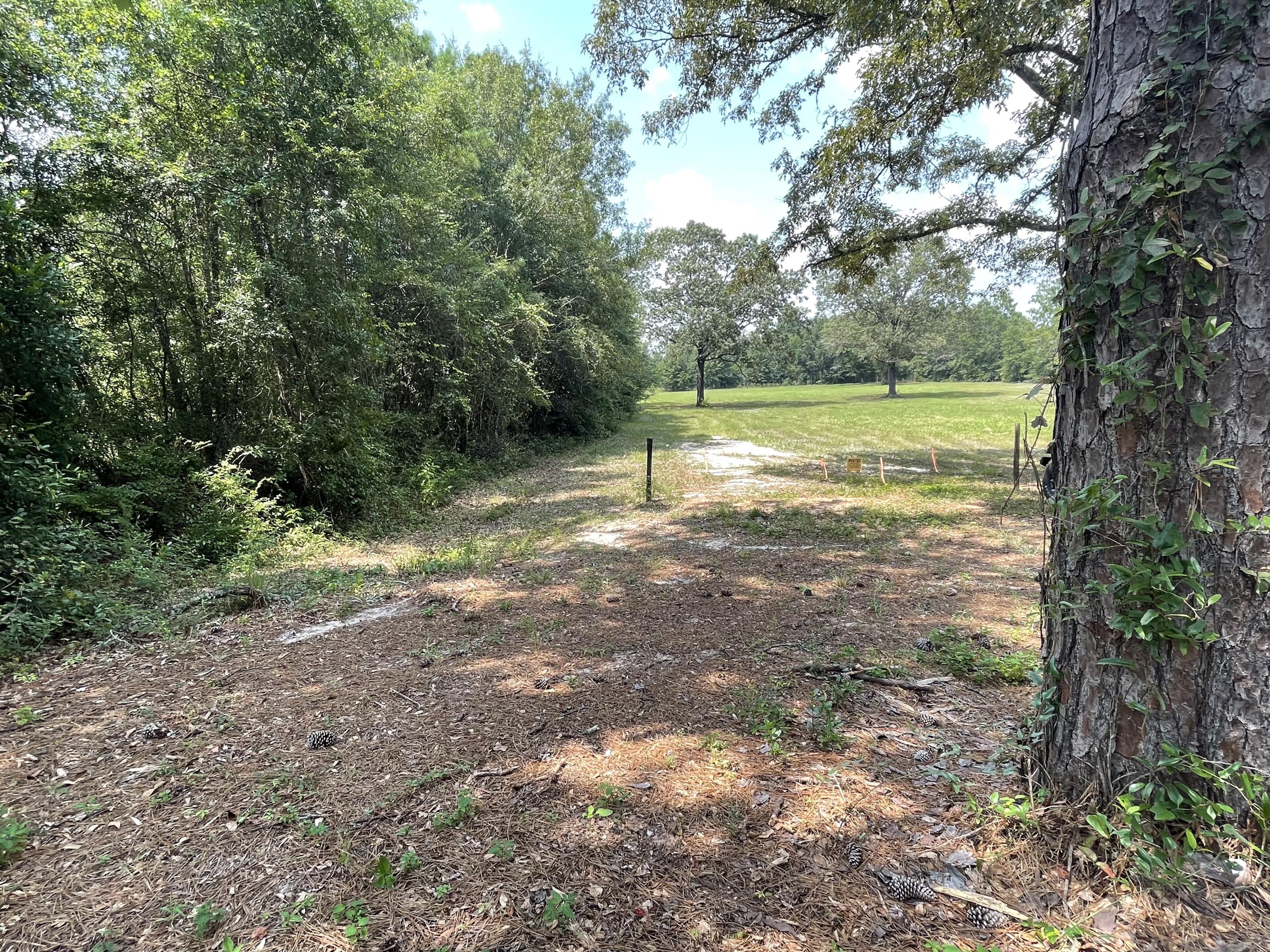 CRESTVIEW SUBURB (231000.00) - Land