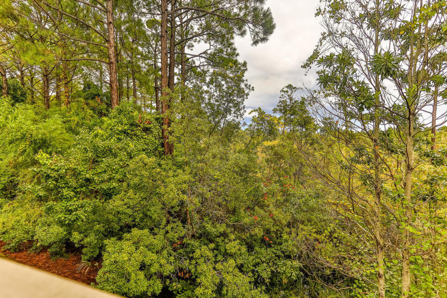 Crystal Cove - Residential