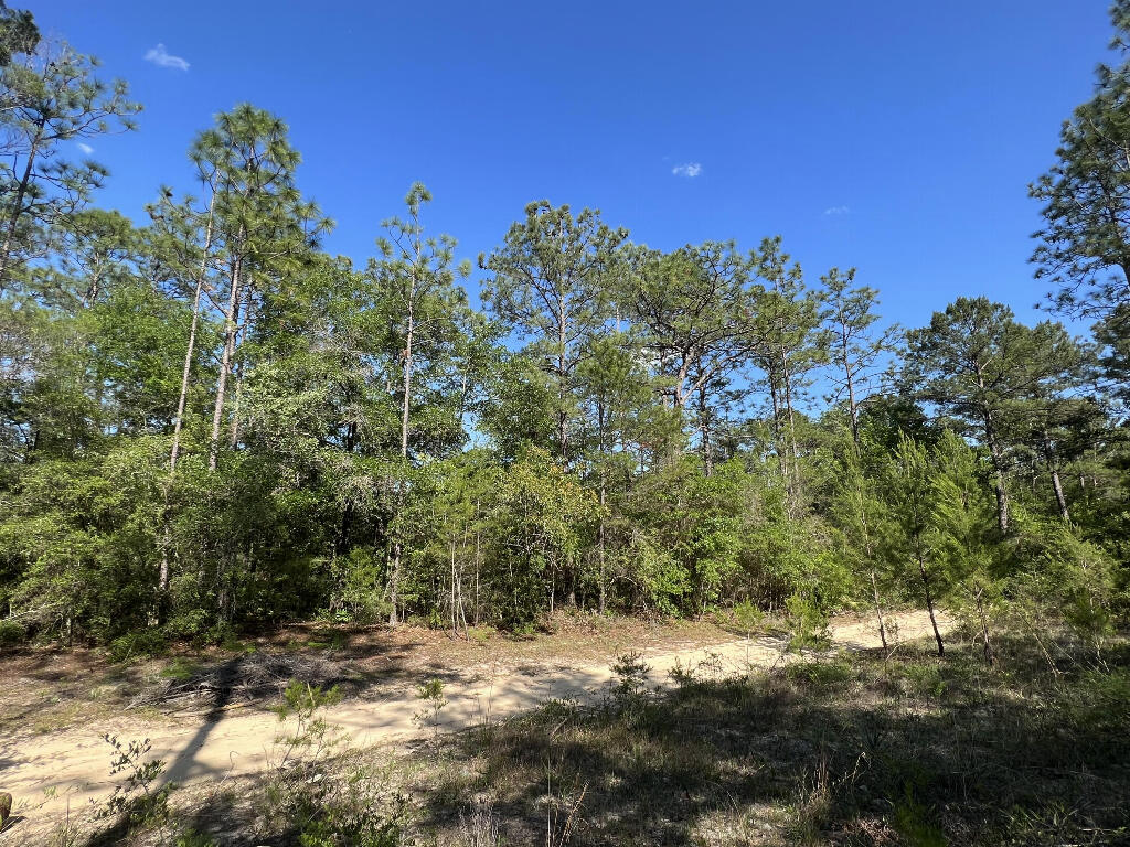 OAKWOOD HILLS - Land