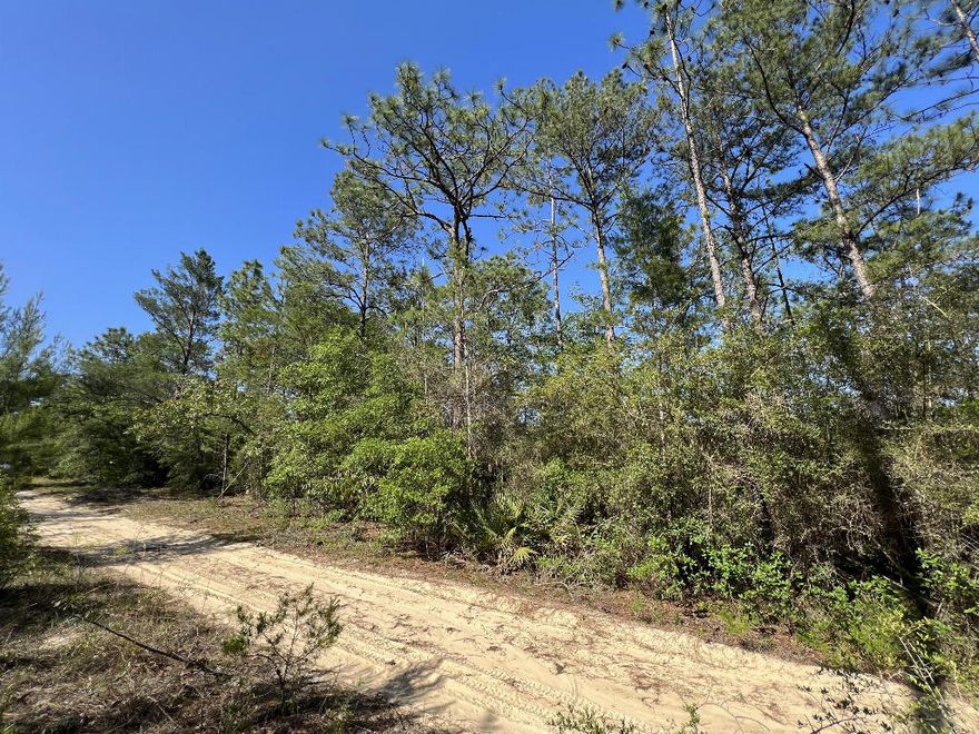 LOT 17 BLK 68 OAKWOOD HILLSUNIT 1 PB 3-90 OR 2750-70OR 3097-1993 OR 3103-4384