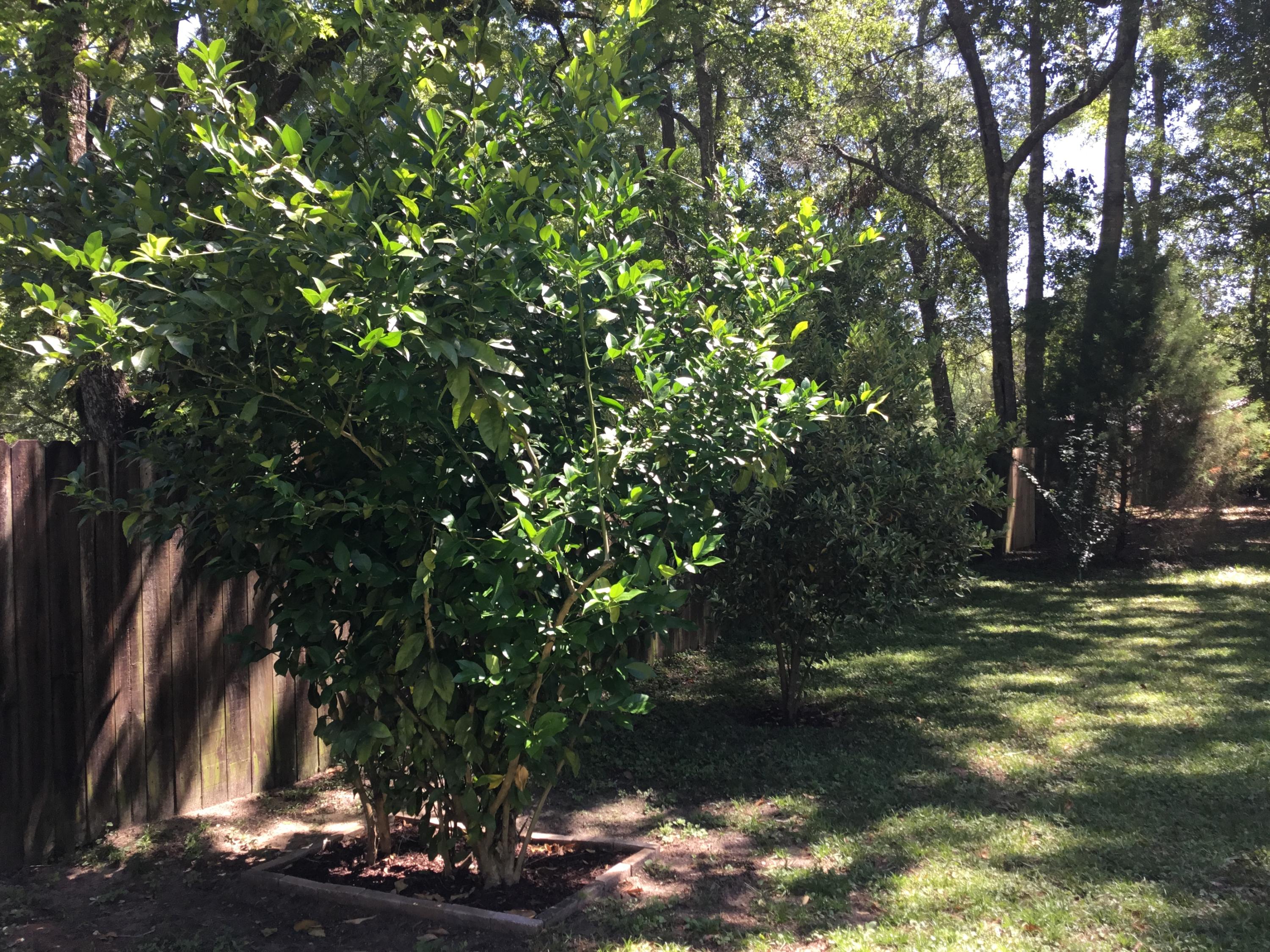 NORTH SUPERGROUP - Residential