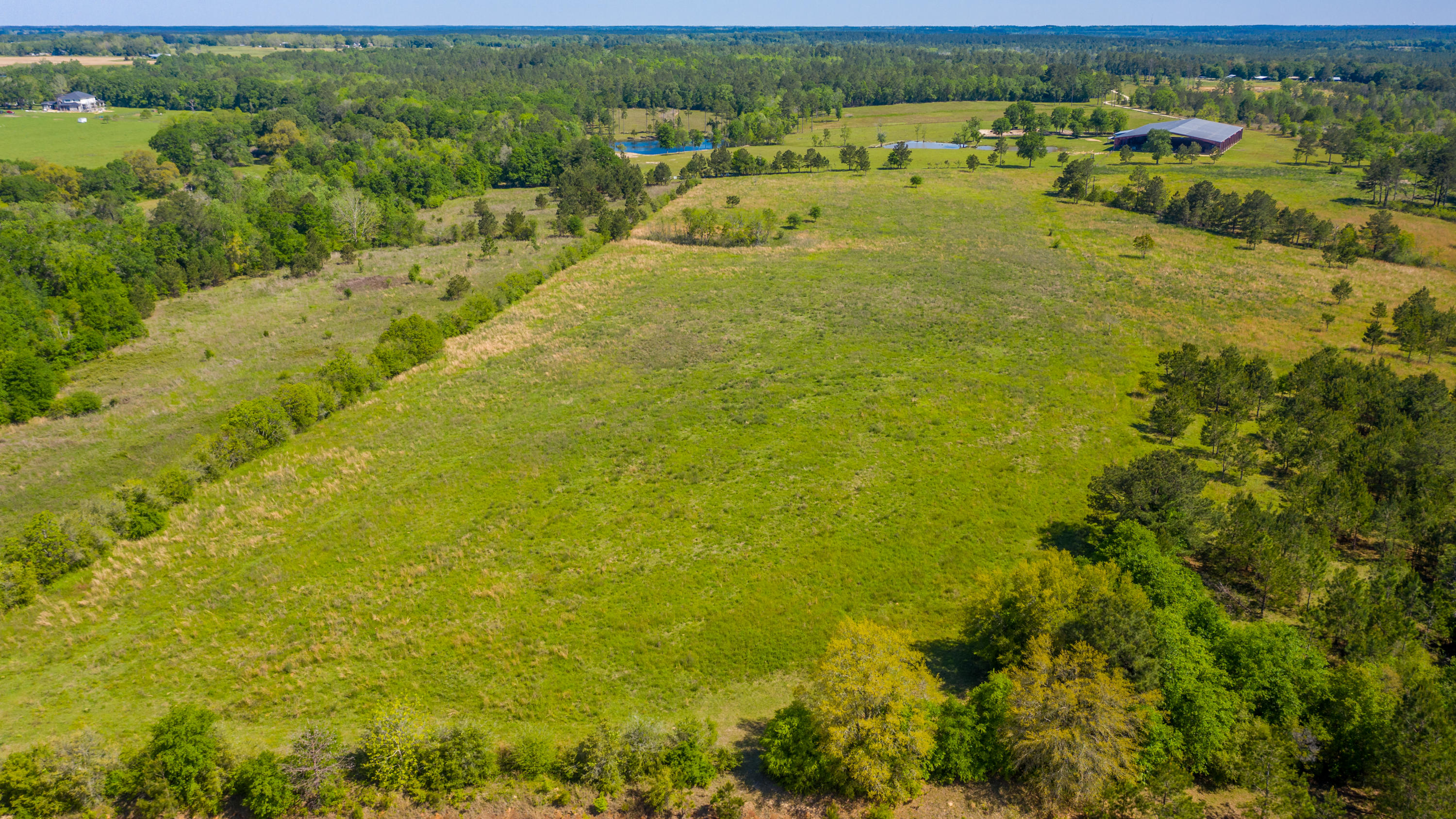Beautiful 60-acre parcel that has a gorgeous glass-bottom creek running through it. There are nearly 40 acres of cleared-out farm land that just needs to be mowed to start your new crop. This property backs up to hundreds of acres. This parcel has 2 sides of paved road frontage, on Long Rd and a private drive off of George Rd. Call to schedule your private tour of this beautiful farm land!