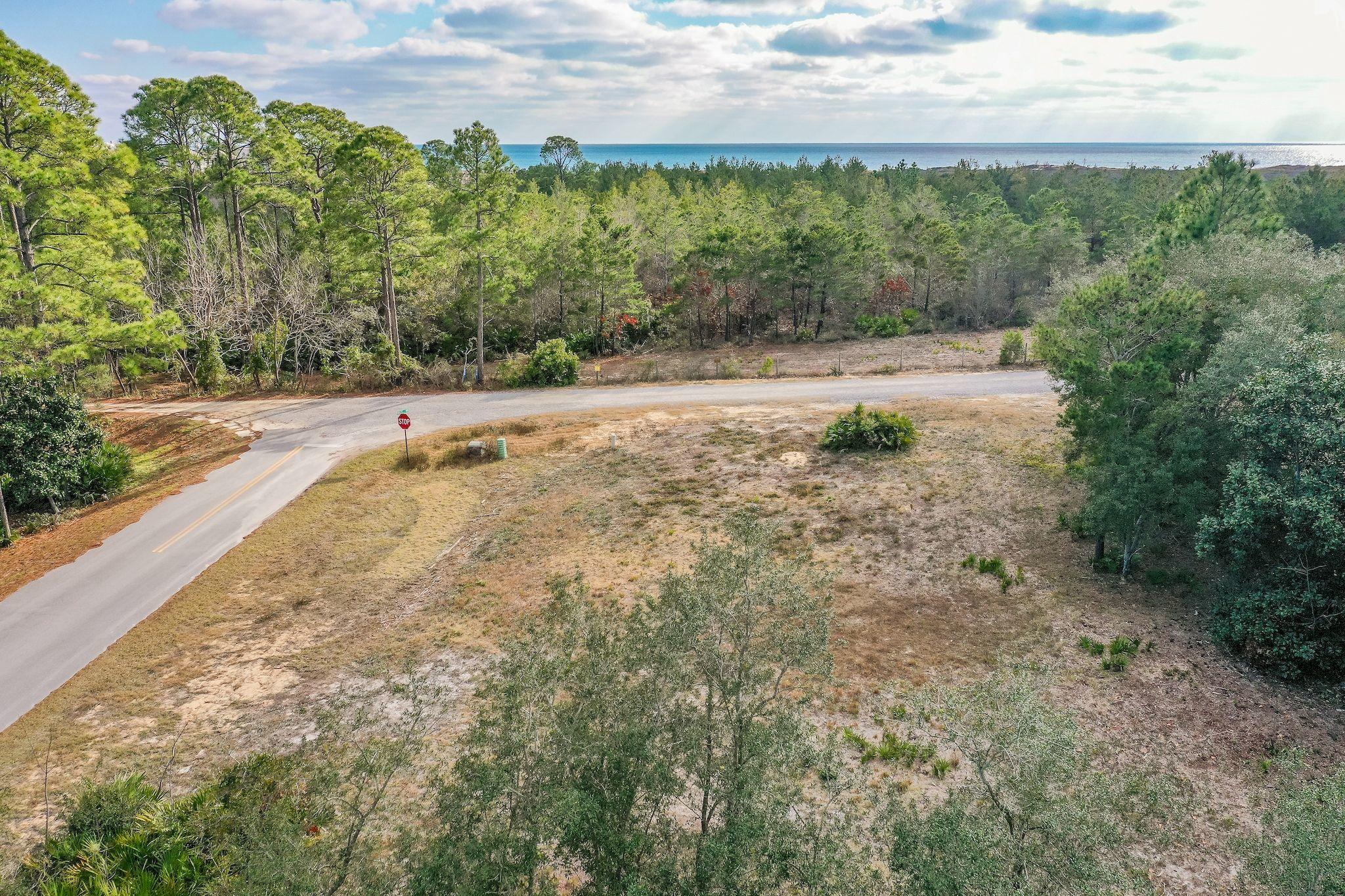 Private, large, corner lot with so many unique features; including an un-obstructed view of Topsail State Preserve facing south toward the Gulf of Mexico. Enjoy the abundance of wildlife and build your private estate on the 100' x 140' lot with additional buffer space. Located in a secluded neighborhood on the coveted West end, just off Hwy 30A, close to the water and No HOA. Gulf view is possible at maximum buildable elevation. Buyer to verify all information.