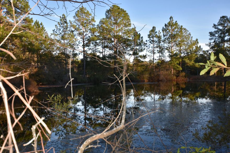 Great building site that borders a small pond. It's affordable and completely wooded making it a great place to build your weekend retreat! Dimensions & acreage taken from the deed. Utilities are available but not on the property.