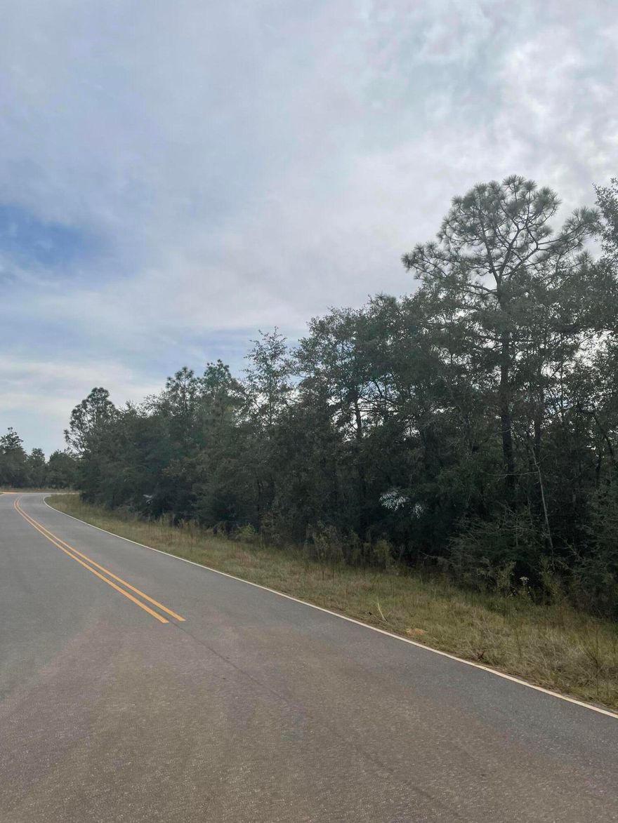 Two lots totaling almost three quarters of an acre!  Perfect place to build your new home or place a manufactured home! Wooded privacy in all directions and still located on a paved road! High and dry with the slightest of slopes makes this lot easy to build on. Lot can easily be walked when viewed.  This lot has public water available to it but the tap has not been paid. .