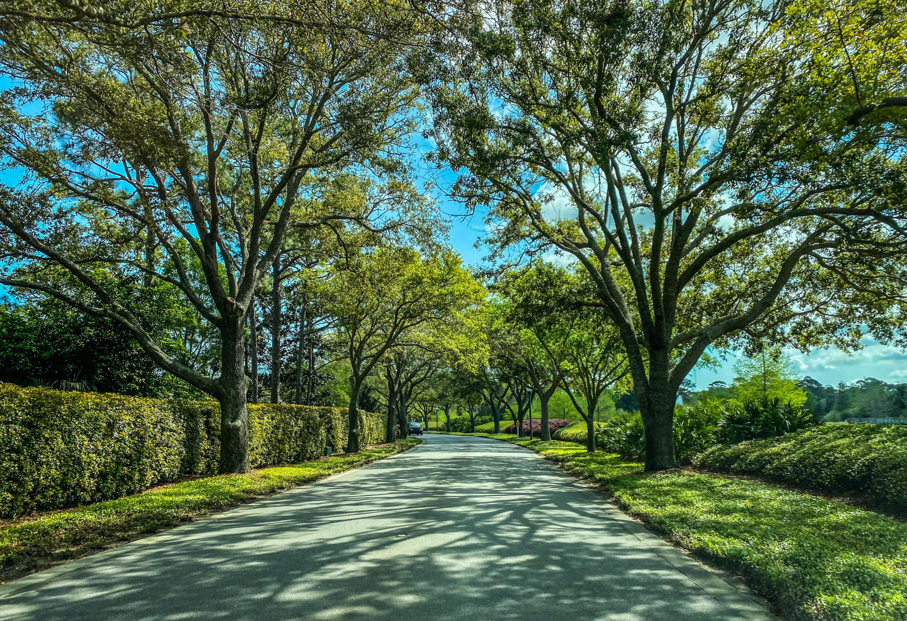 BAYTOWNE AVE EAST - Residential