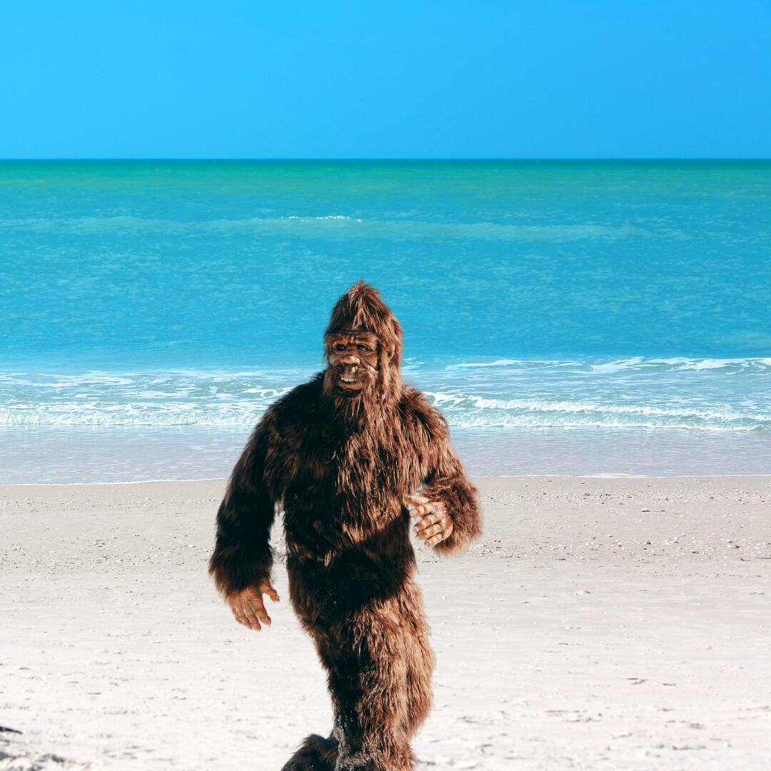 ISLAND SANDS CONDO - Residential